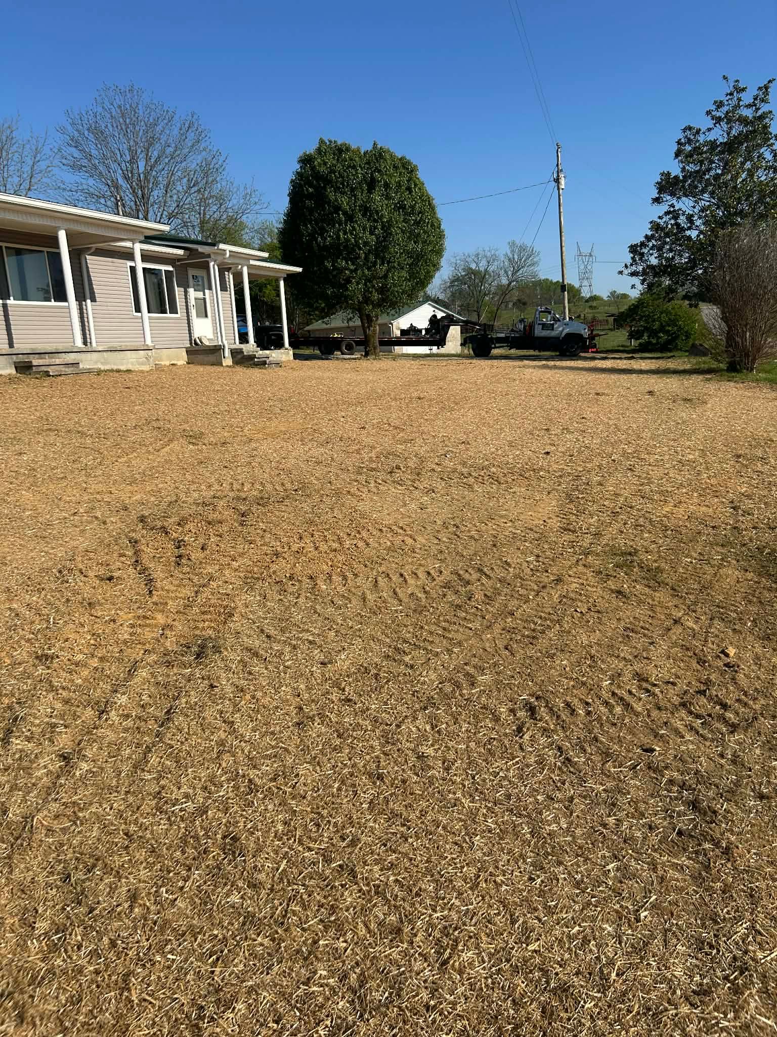  for Z's Land Management & Forestry Mulching in Smithville, TN