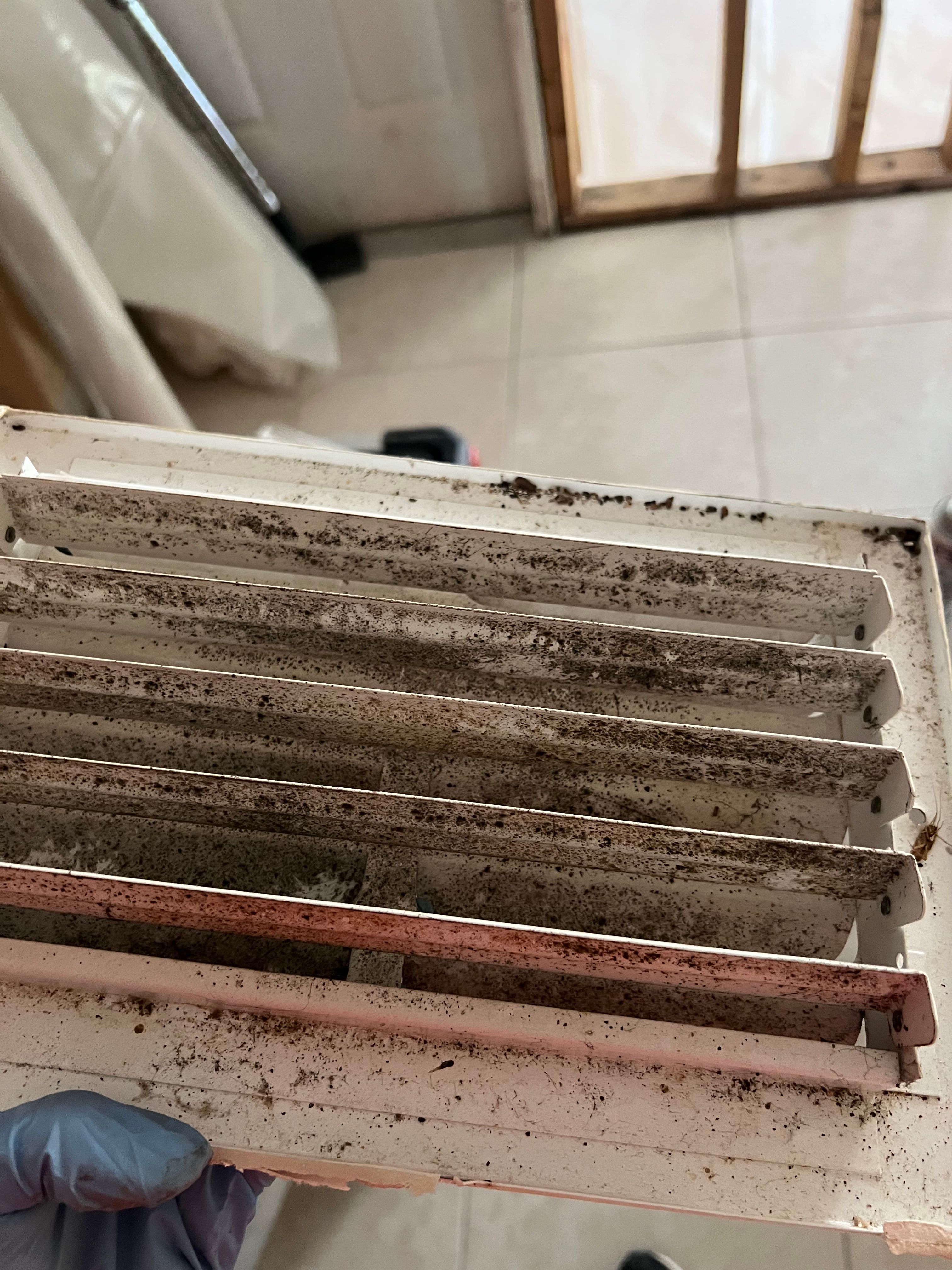  for N&D Restoration Services When Disaster Strikes, We Come In in Cape Coral,  FL