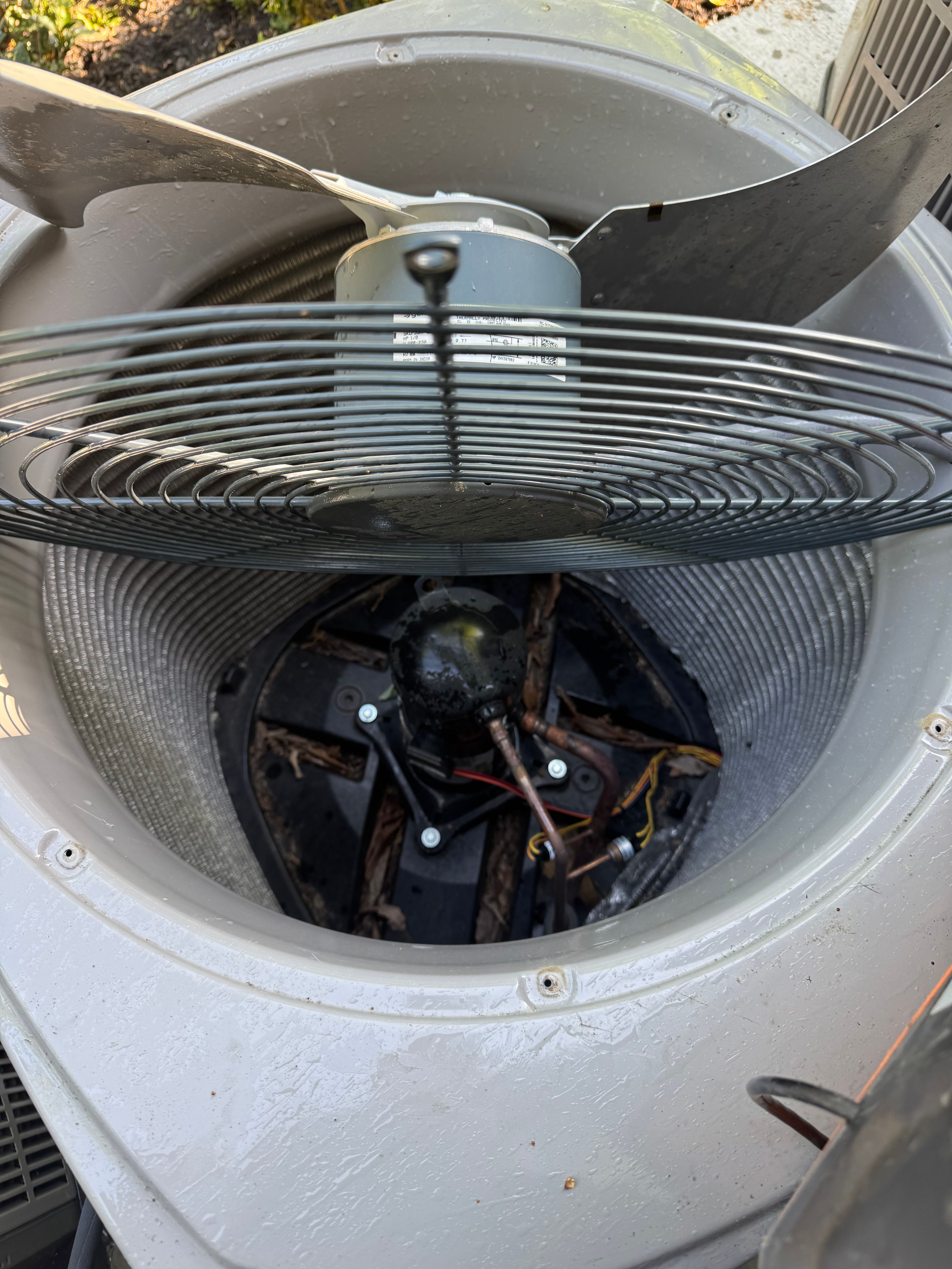  for College Grove Service Company in College Grove, TN