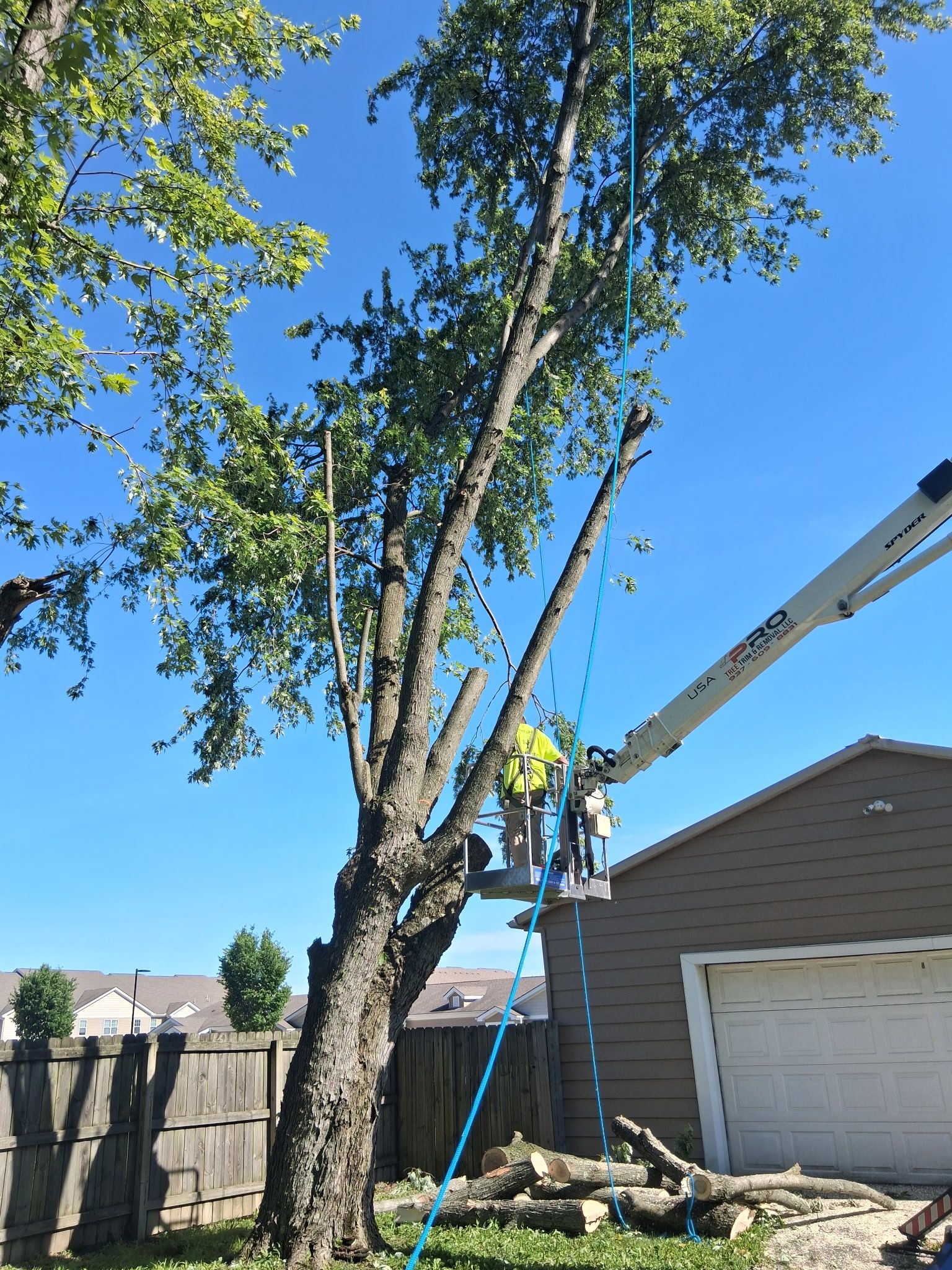 All Photos for Pro Tree Trim & Removal, Llc in Dayton, OH