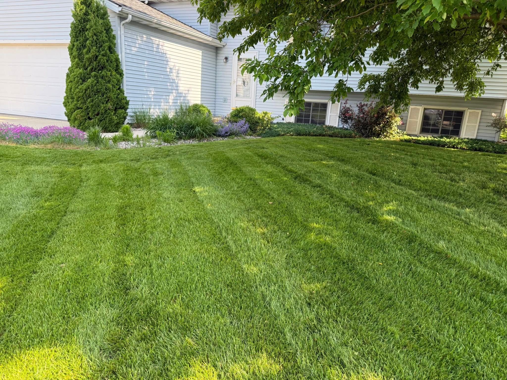  for Perfect Lawn Solutions LLC in Marshall, WI
