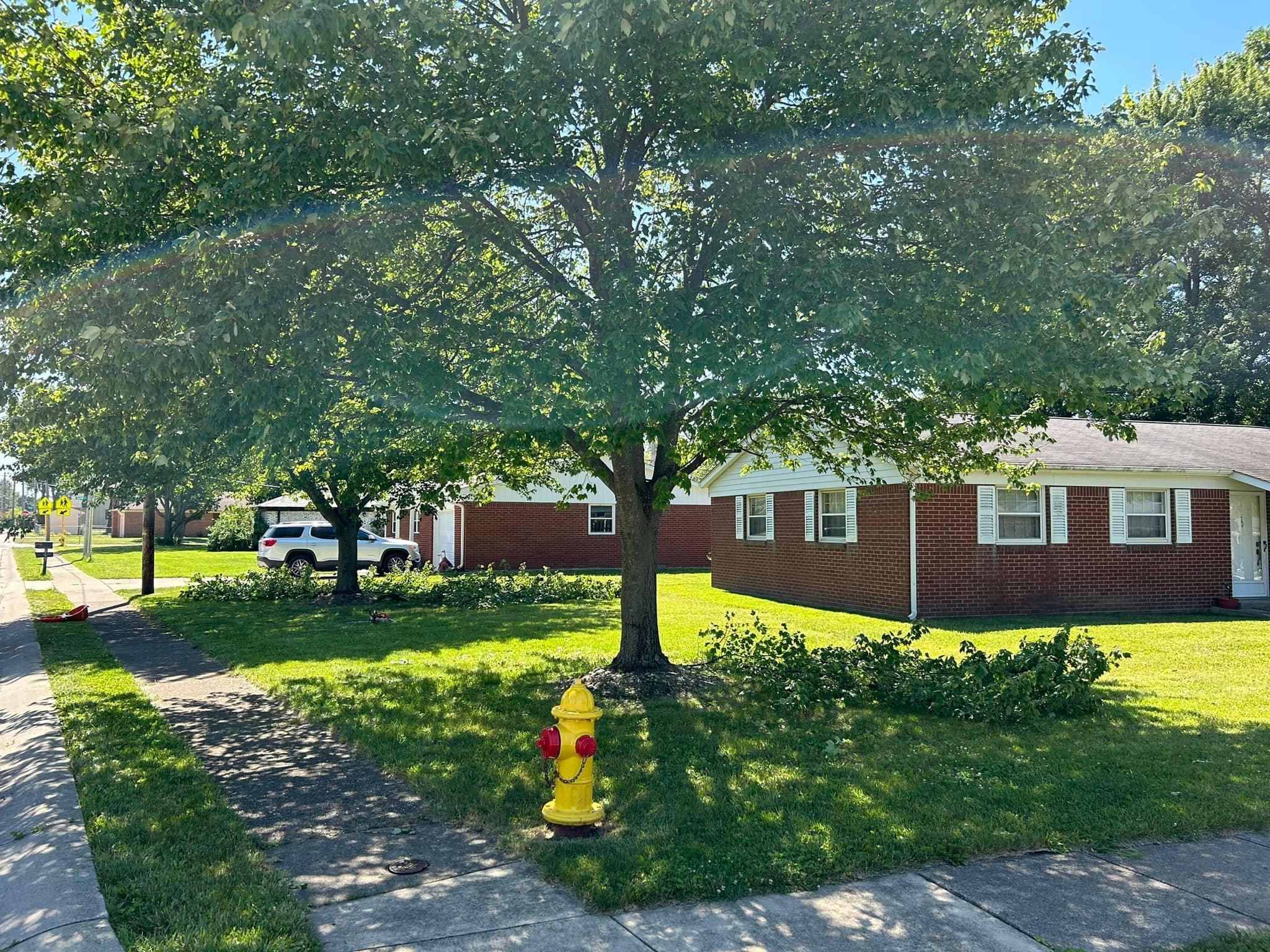  for Bearforce Lawn Care LLC in Greenfield, IN