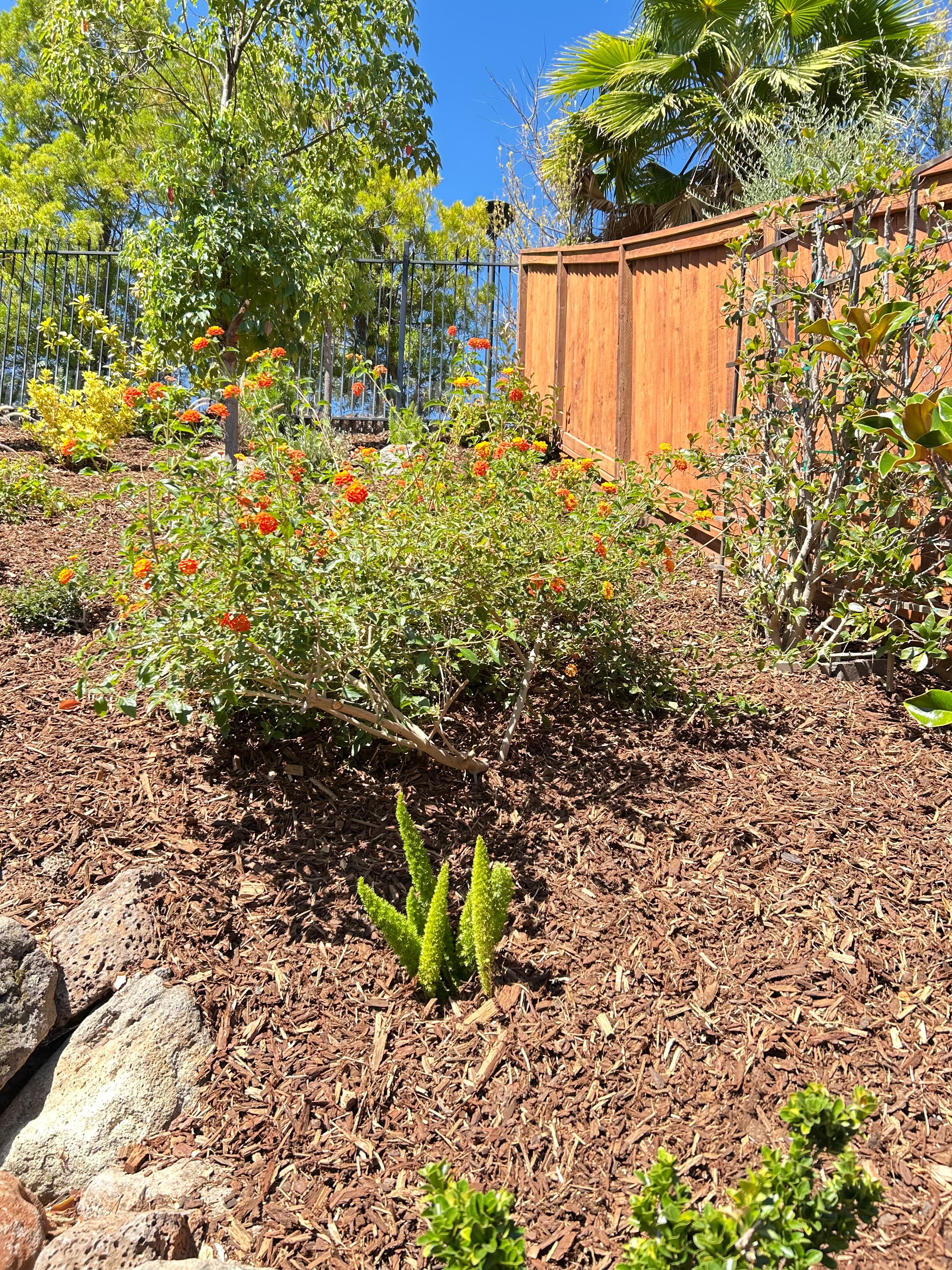All Photos for LEBEC, Inc in Brentwood, CA