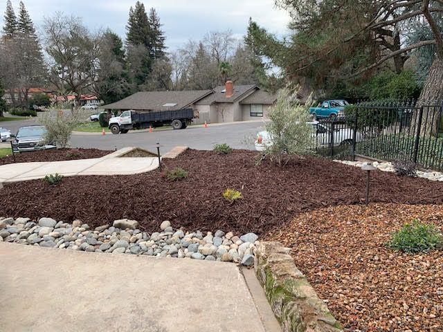  for Blue Water Landscape Services in El Dorado Hills, CA