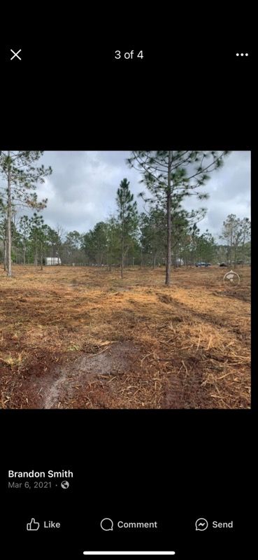 Forestry Mulching for Jacksonville Outdoors in Jacksonville, FL