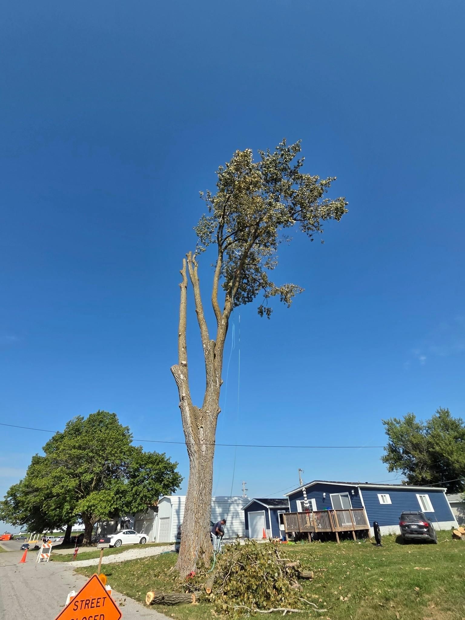  for Lawn Ranger Yard And Tree Service LLC in Ottumwa, IA