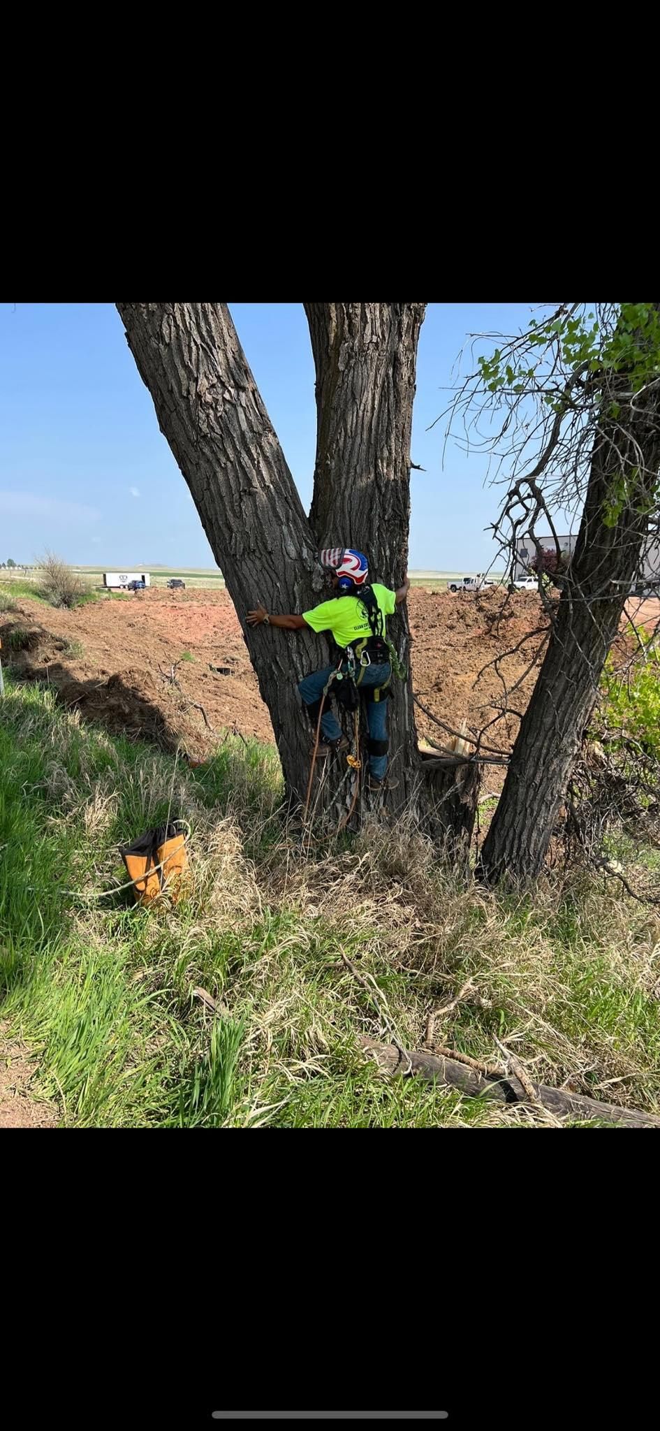  for Clean Cut Tree Service in Gillette, WY