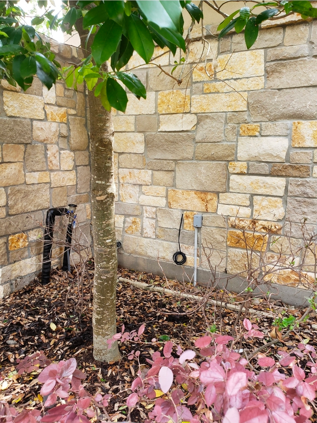  for Connected Exterior Cleaning in Dallas, TX