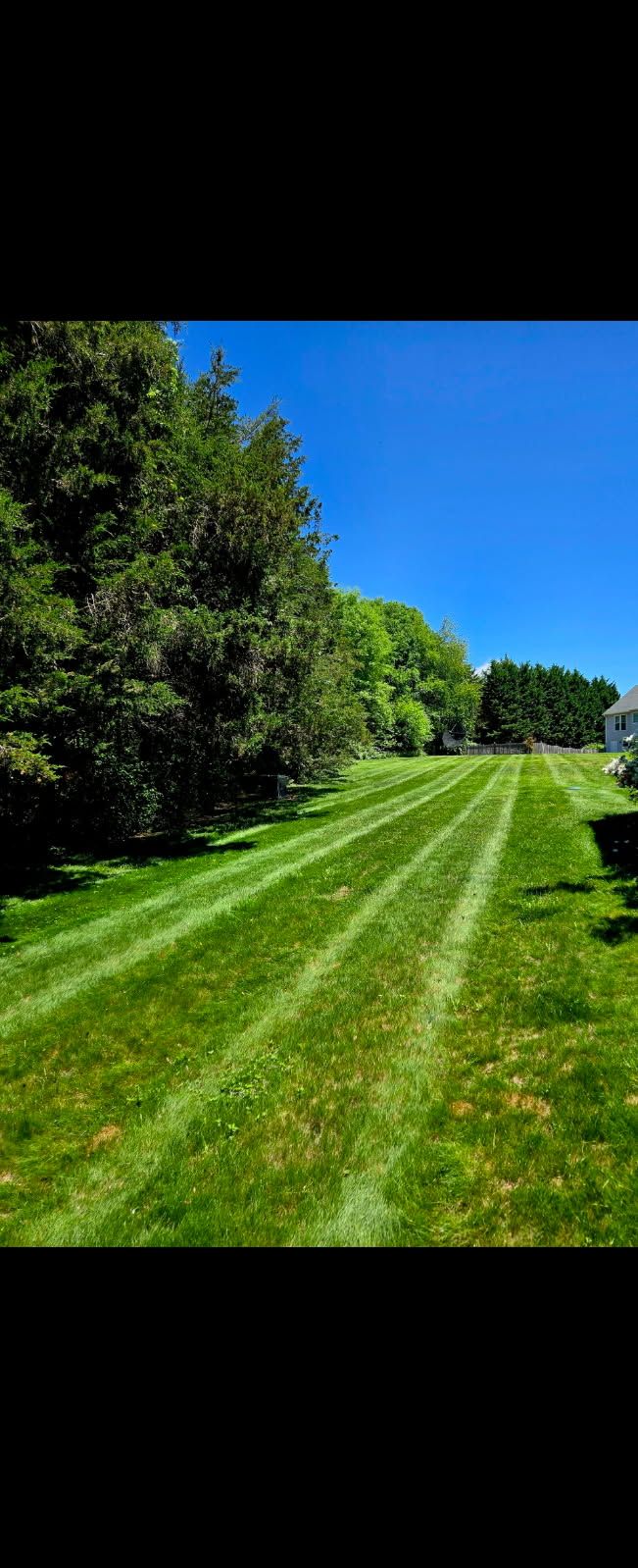 All Photos for Johnson Lawn Services in Fredericksburg, VA