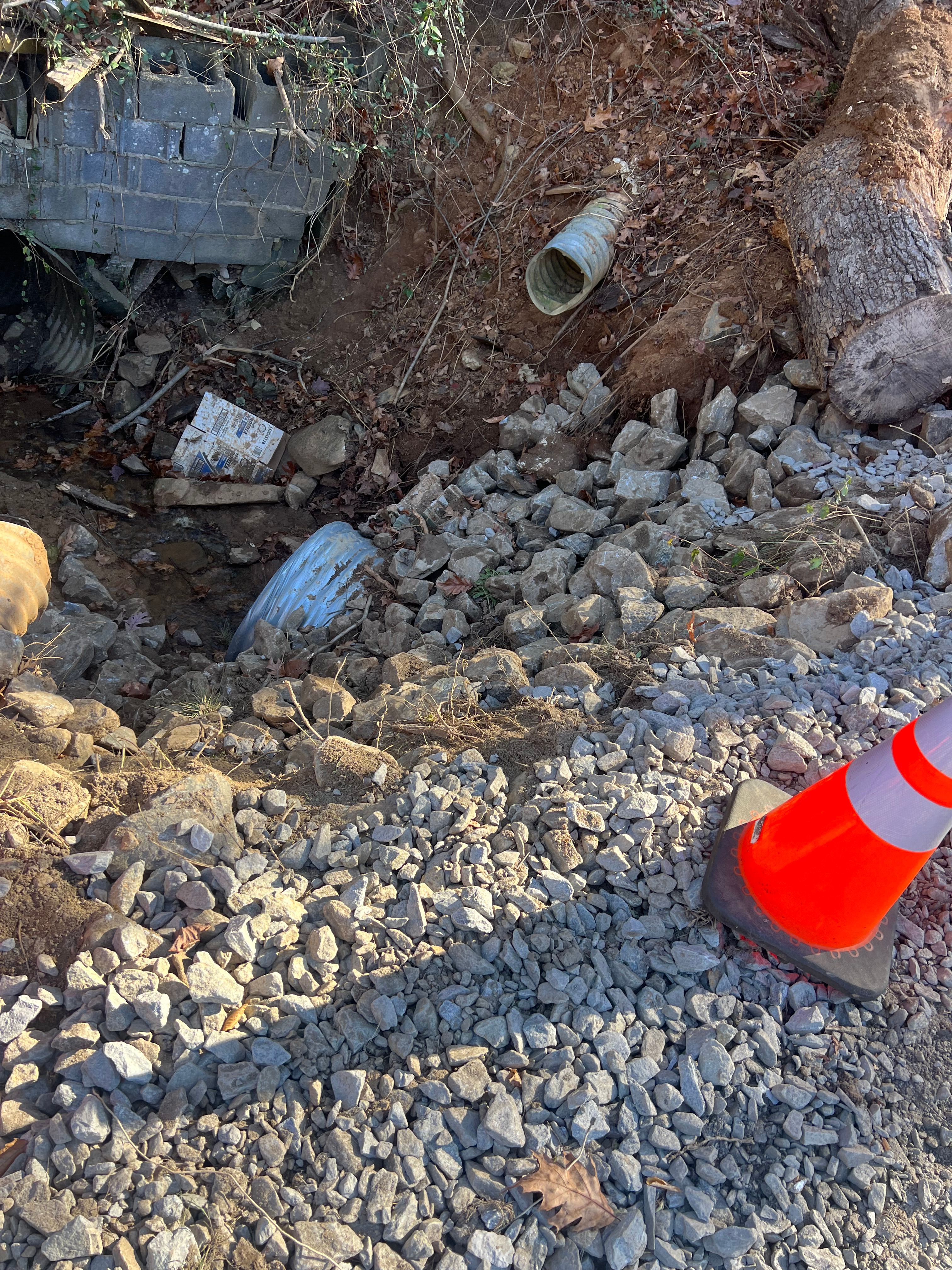  for Ground To Sky Tree Care in Asheville, North Carolina