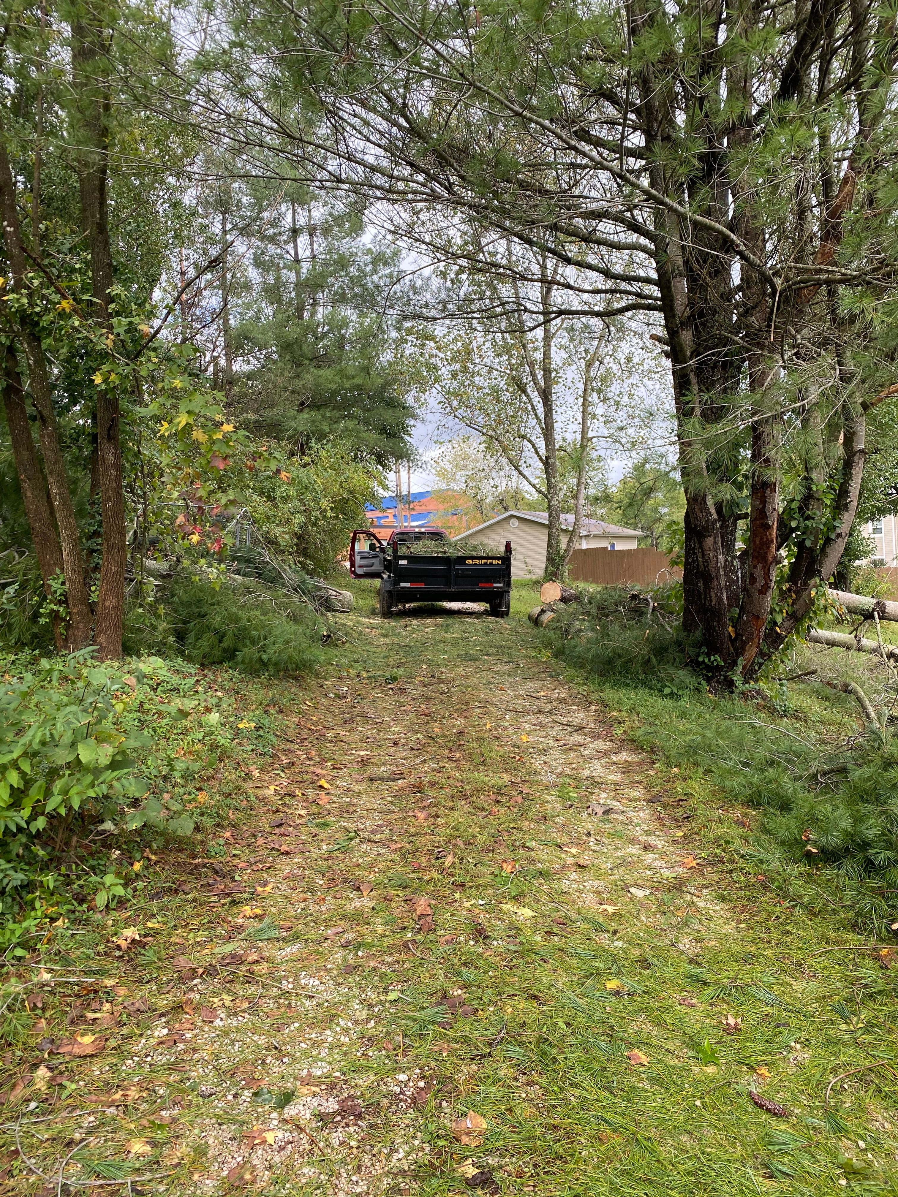All Photos for Houtz Tree Service in Lexington, KY