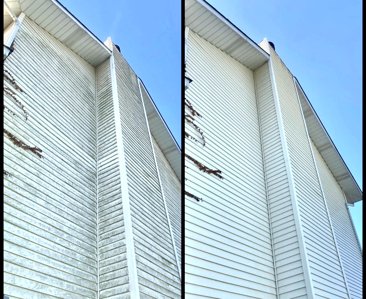  for See2it Clean in St Louis, MO