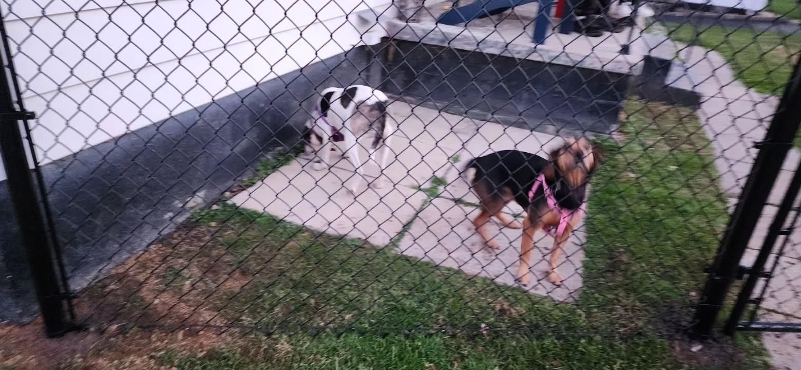 All Photos for Backyard Fence Solutions LLC in Uniontown, PA