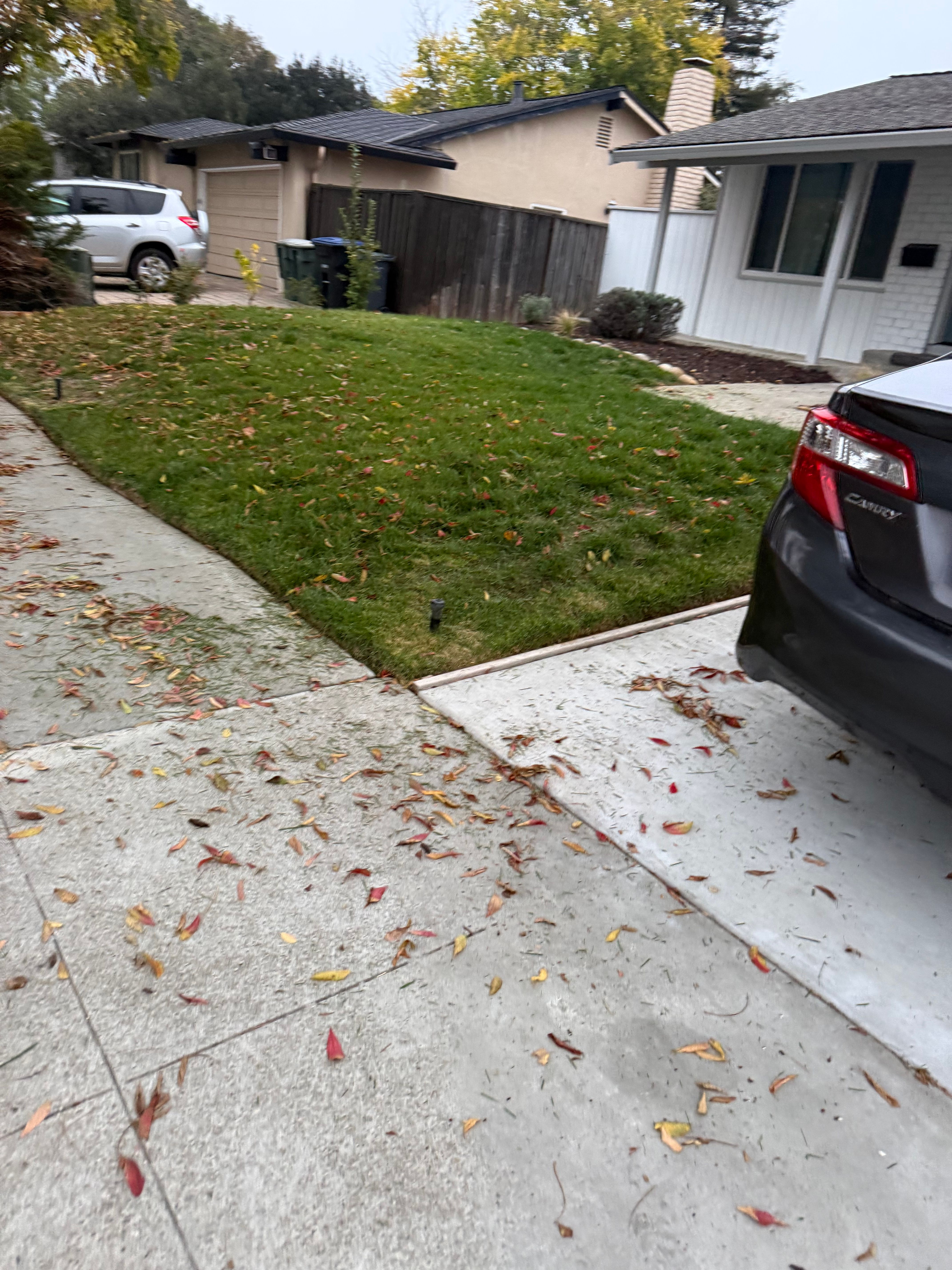  for CBA Landscaping in Hayward, CA