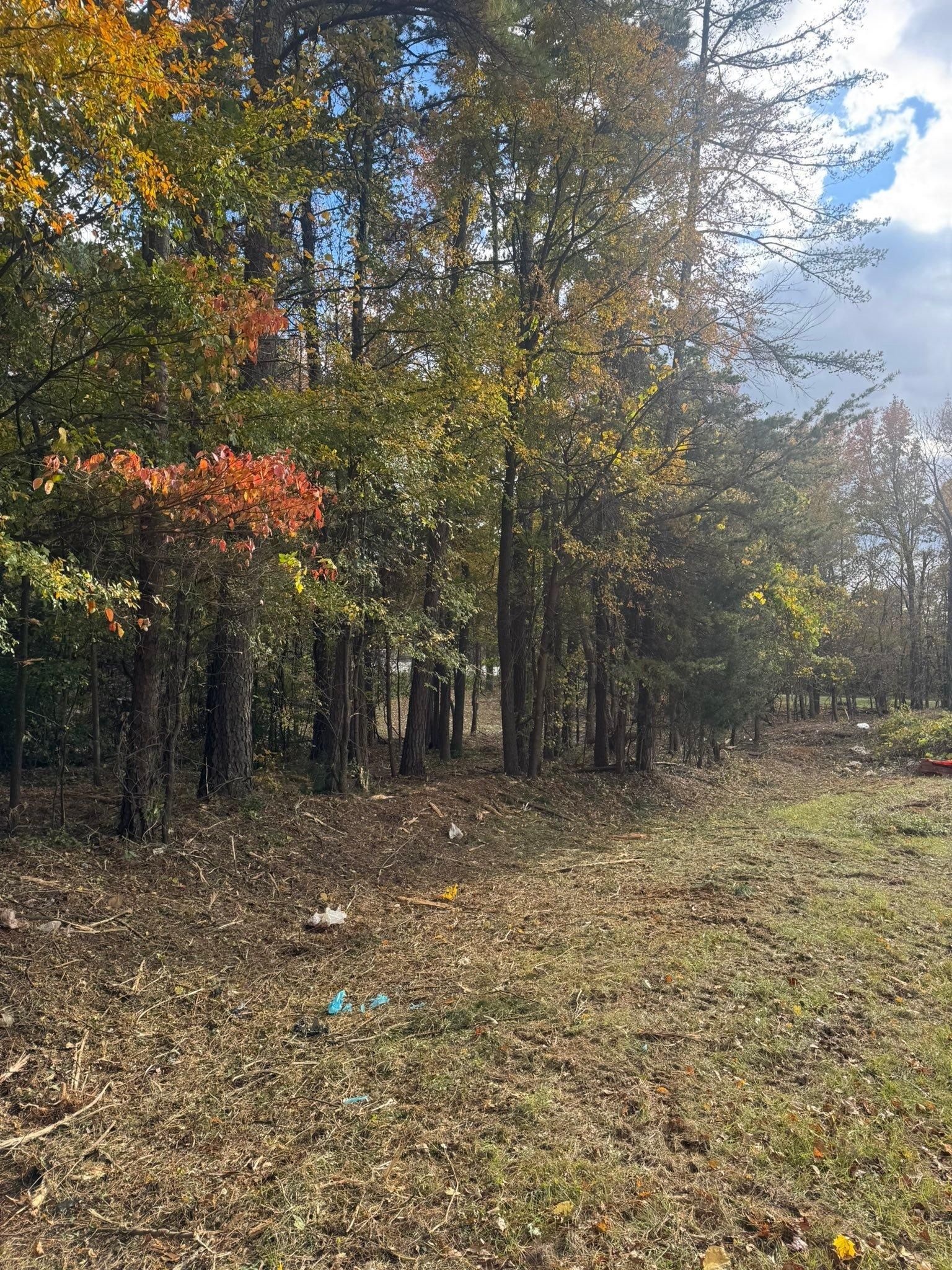  for Southern Turf & Landscape in Concord, NC