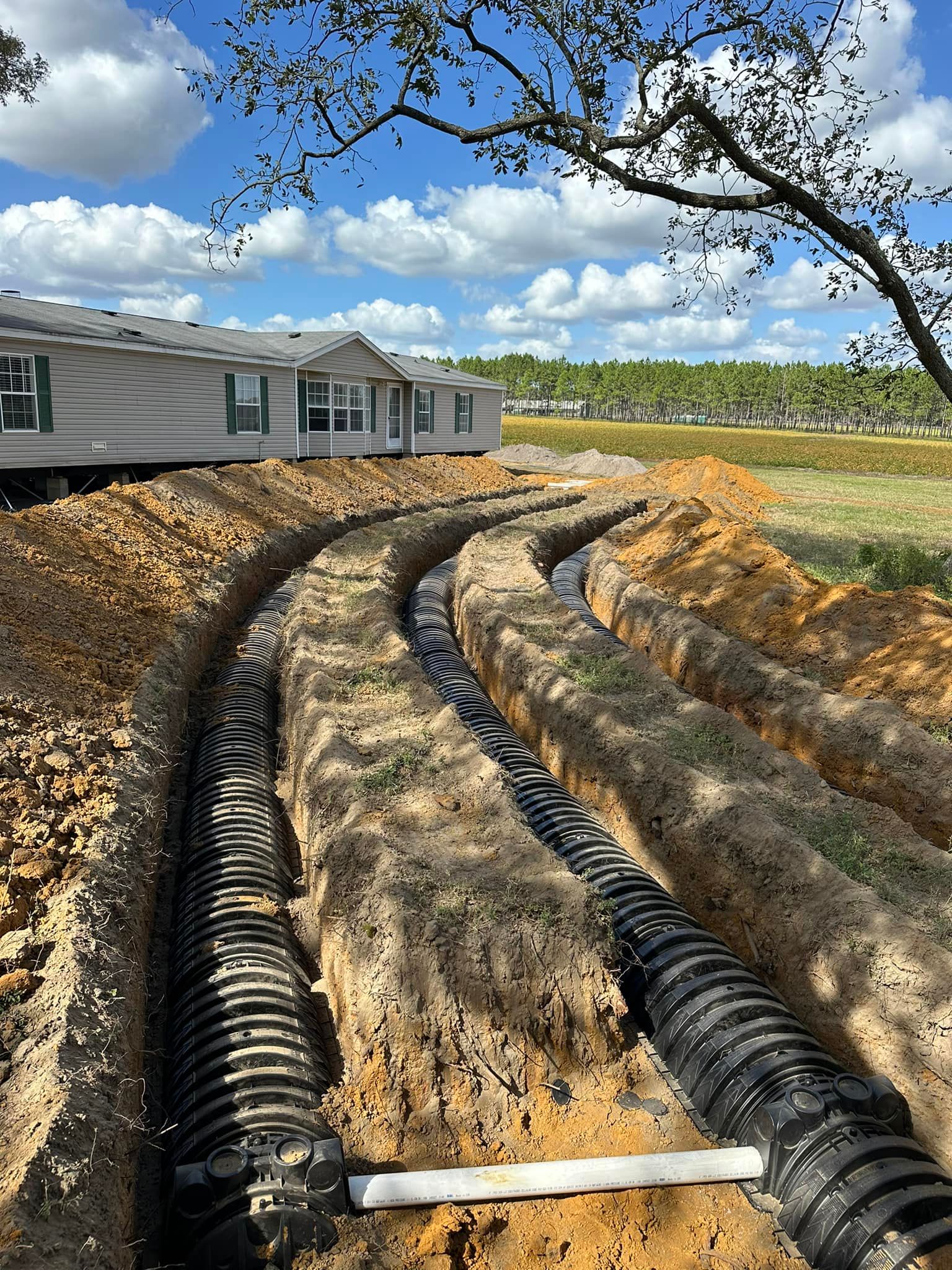  for Earthworks Septic LLC in Albany, Georgia