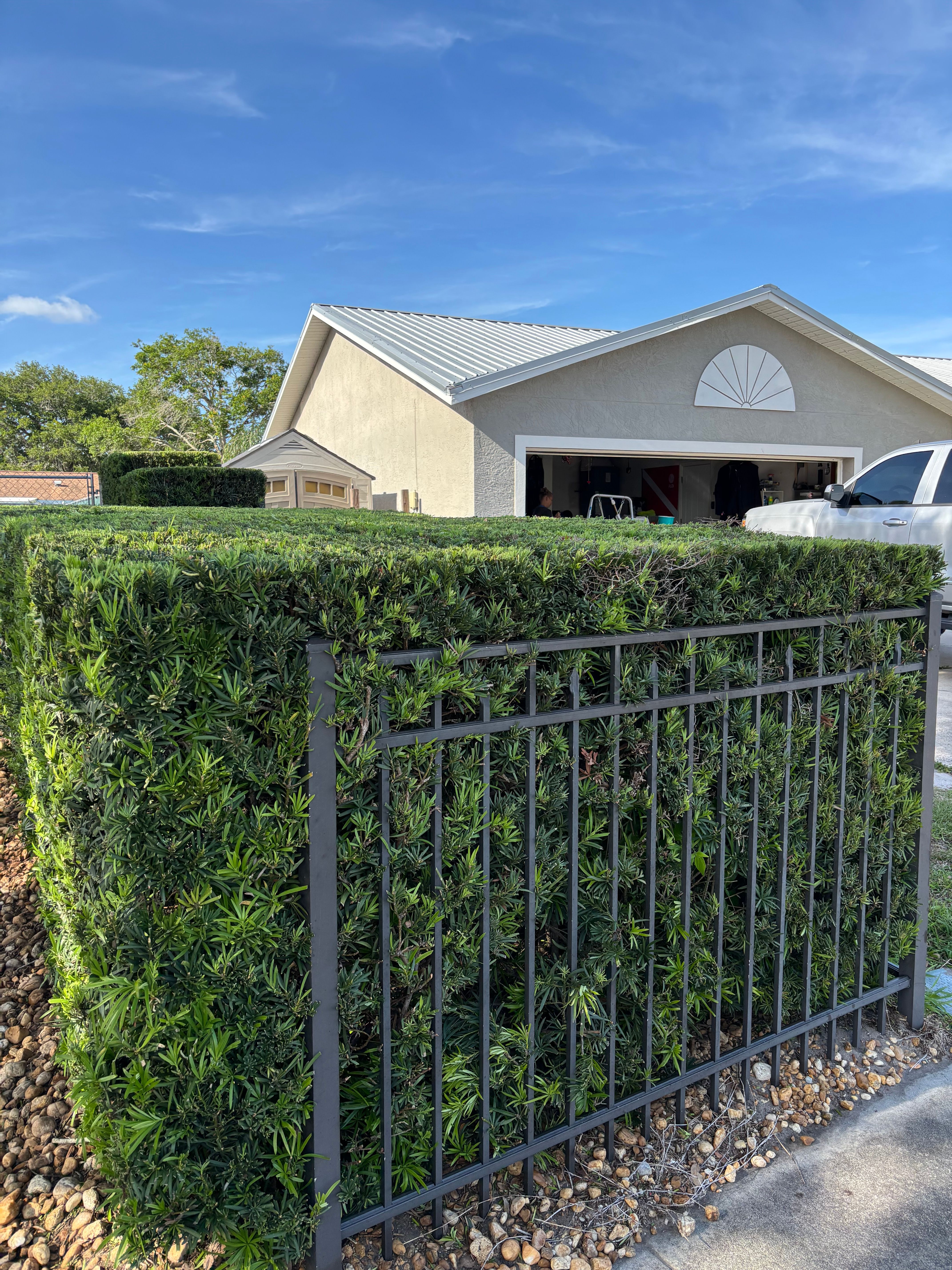  for Space Coast Property Maintenance and Management LLC in Melbourne, FL