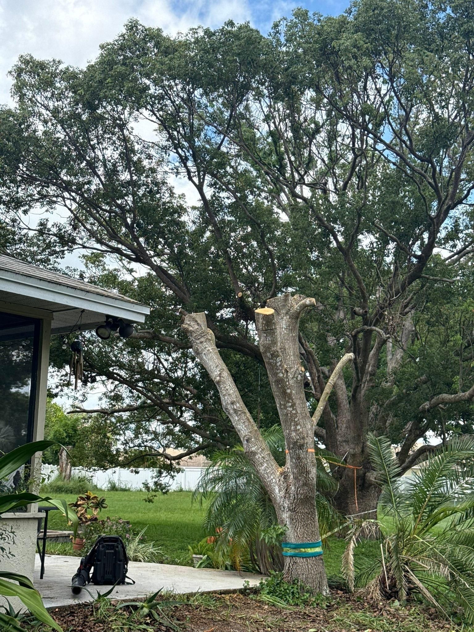  for New Era Lawn Care & Landscaping in Lakeland,  FL
