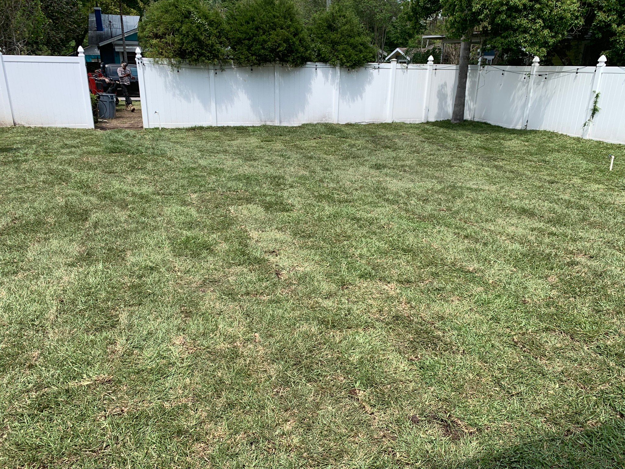Lawn Care for Affordable Property Preservation Services in Tampa, Florida