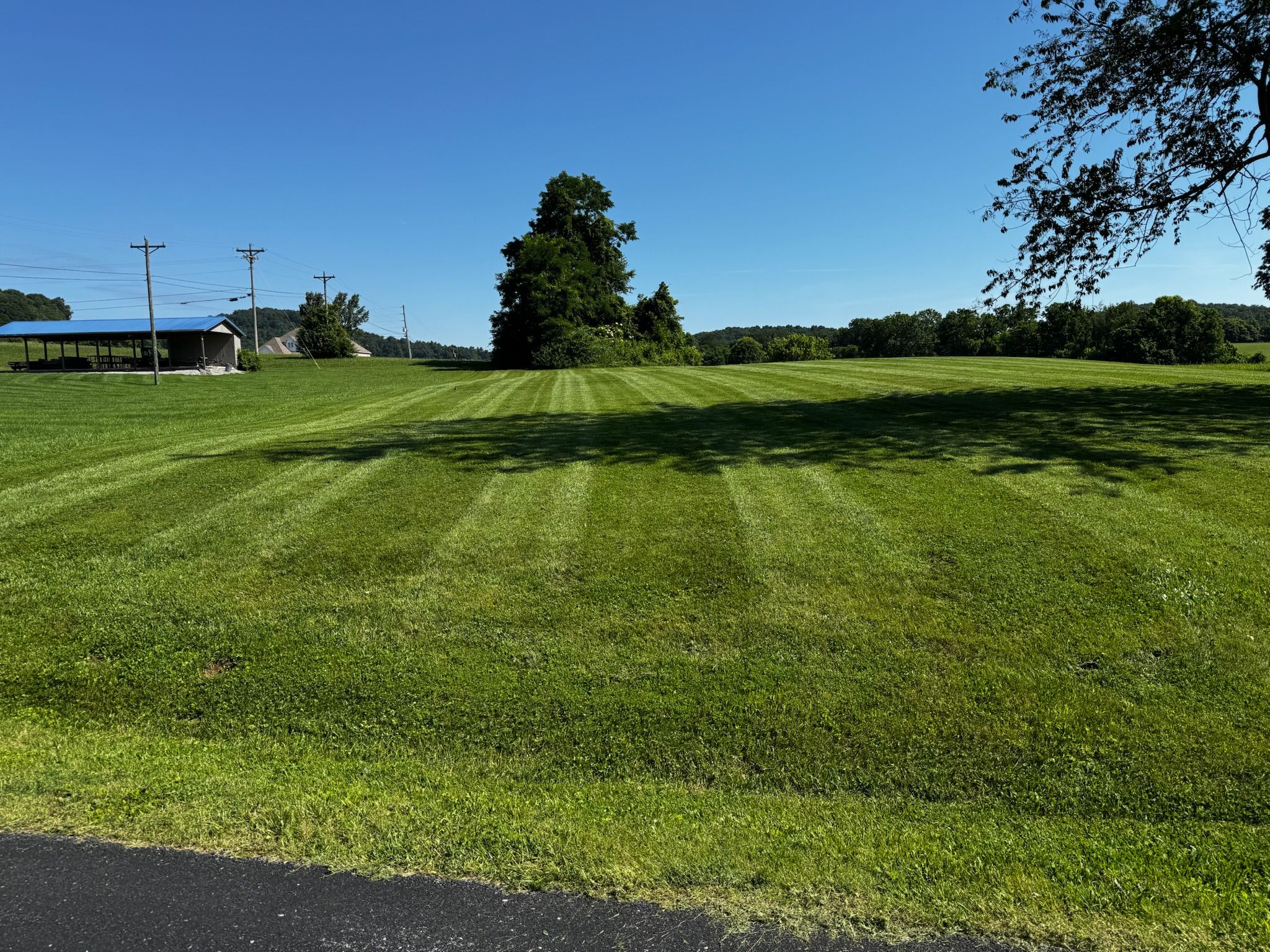  for Hale’s Hydroseeding in London, KY