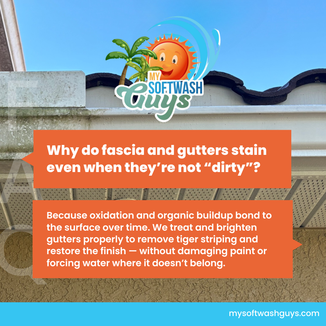  for My Soft Wash Guys in Venice, FL