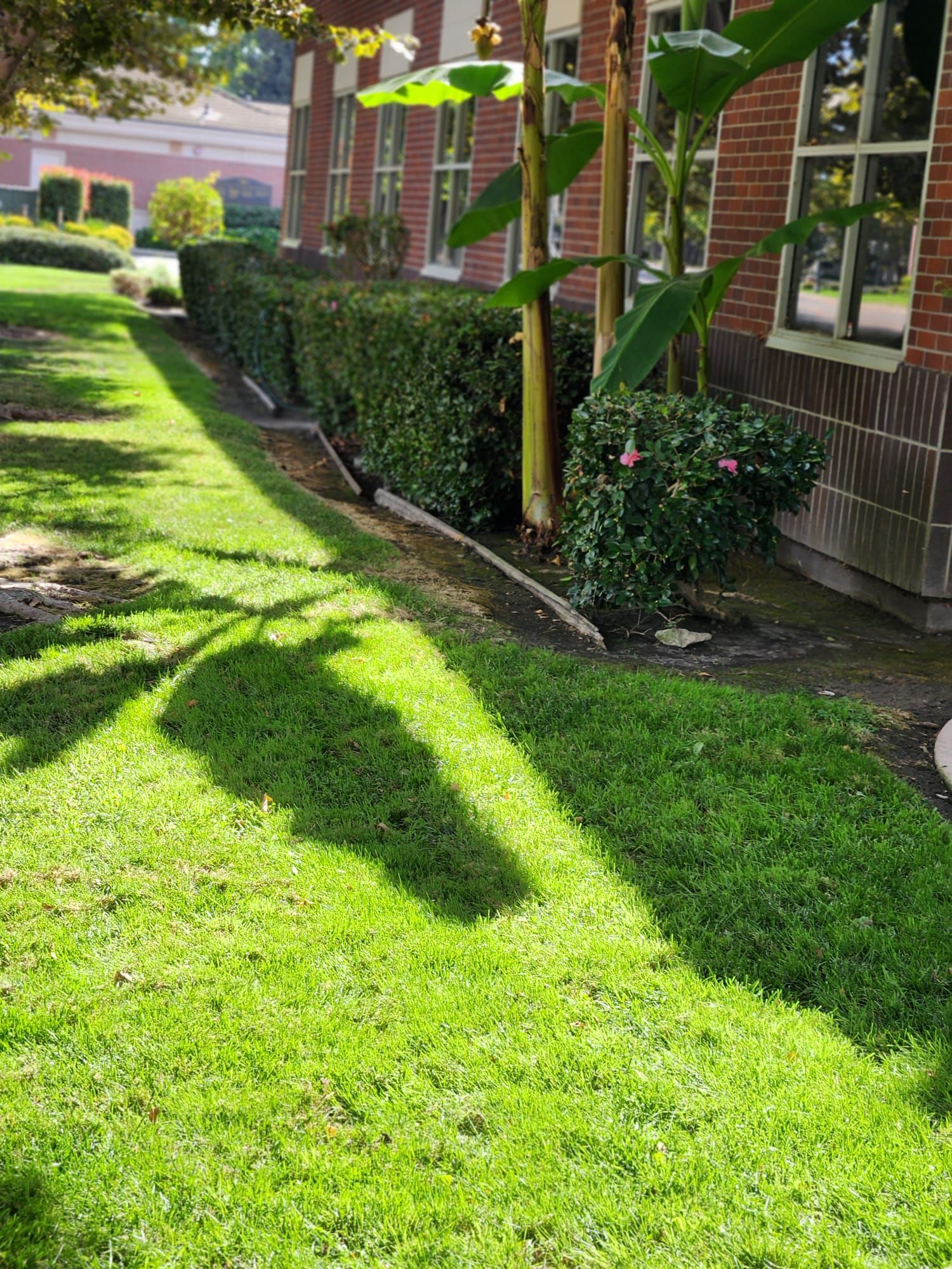  for Vargas LANSCAPE LLC in Stockton, CA