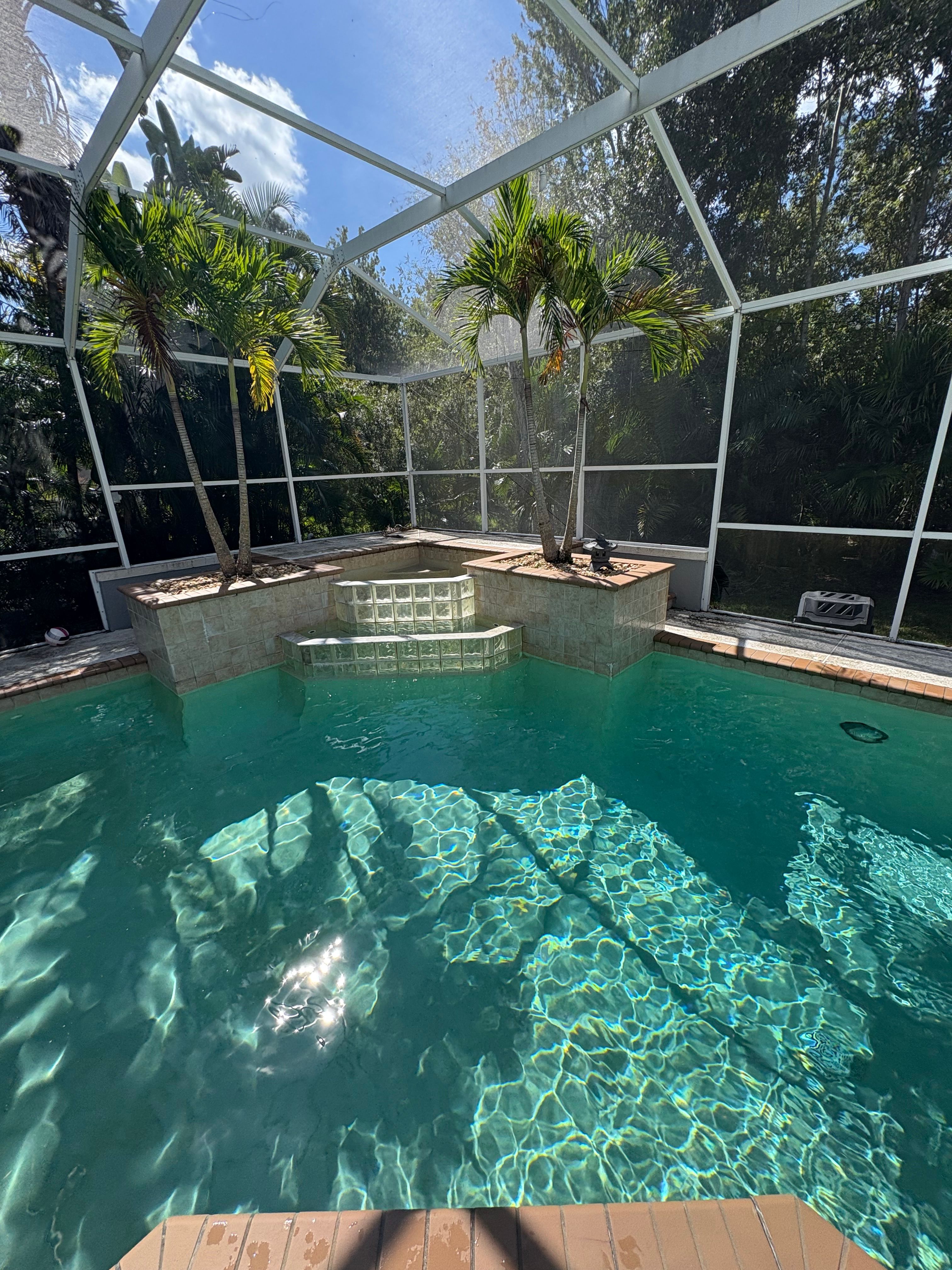  for Blue Bay Pools in Tampa, FL