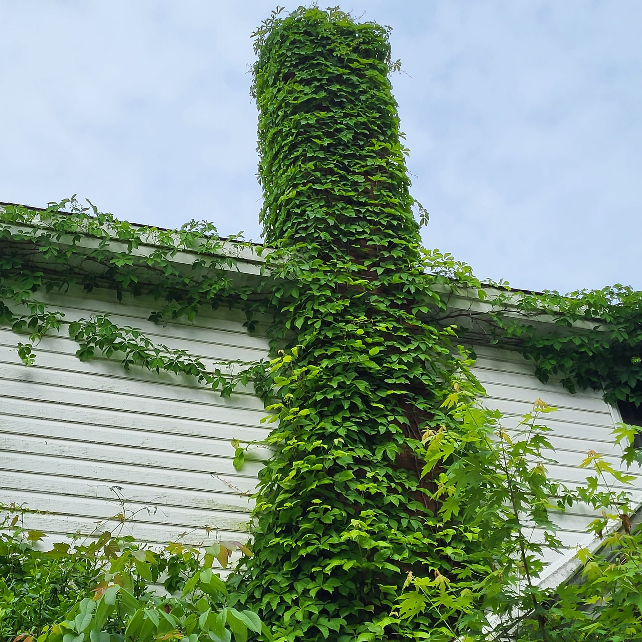  for Hope House Lawn & Landscaping PLUS in Masontown, PA