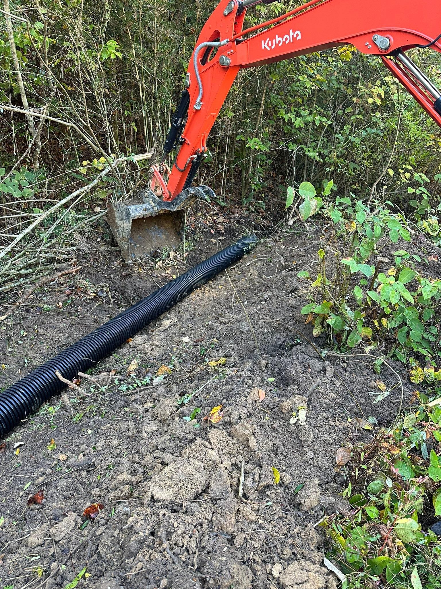  for Excavation Innovations in Rogersville, TN