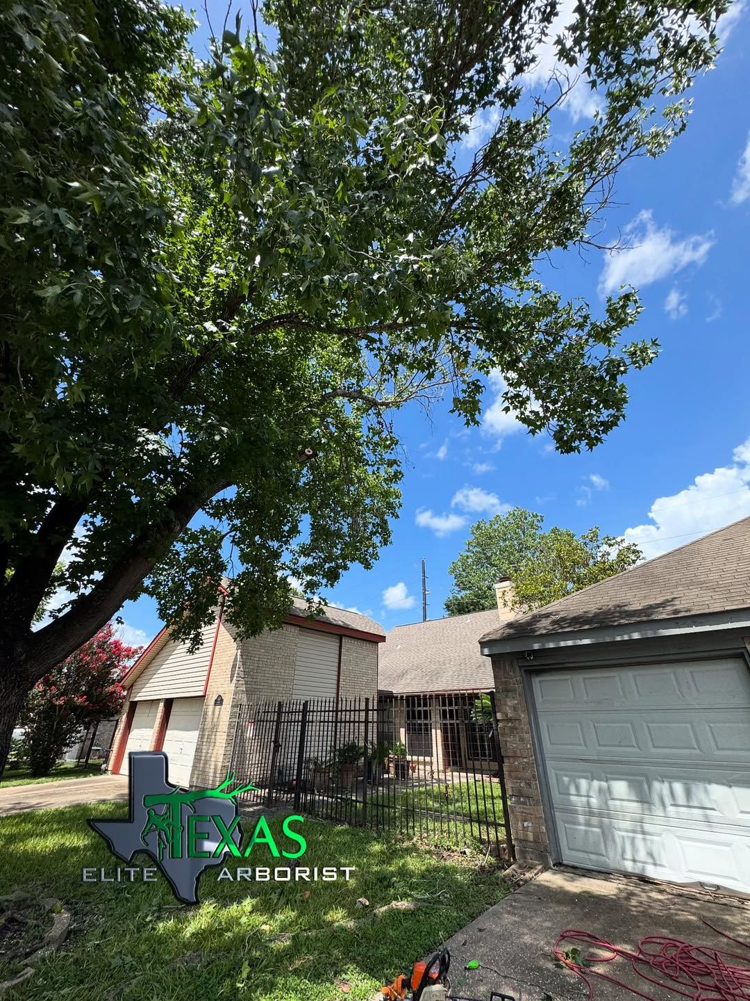  for Texas Elite Arborist in Houston, TX