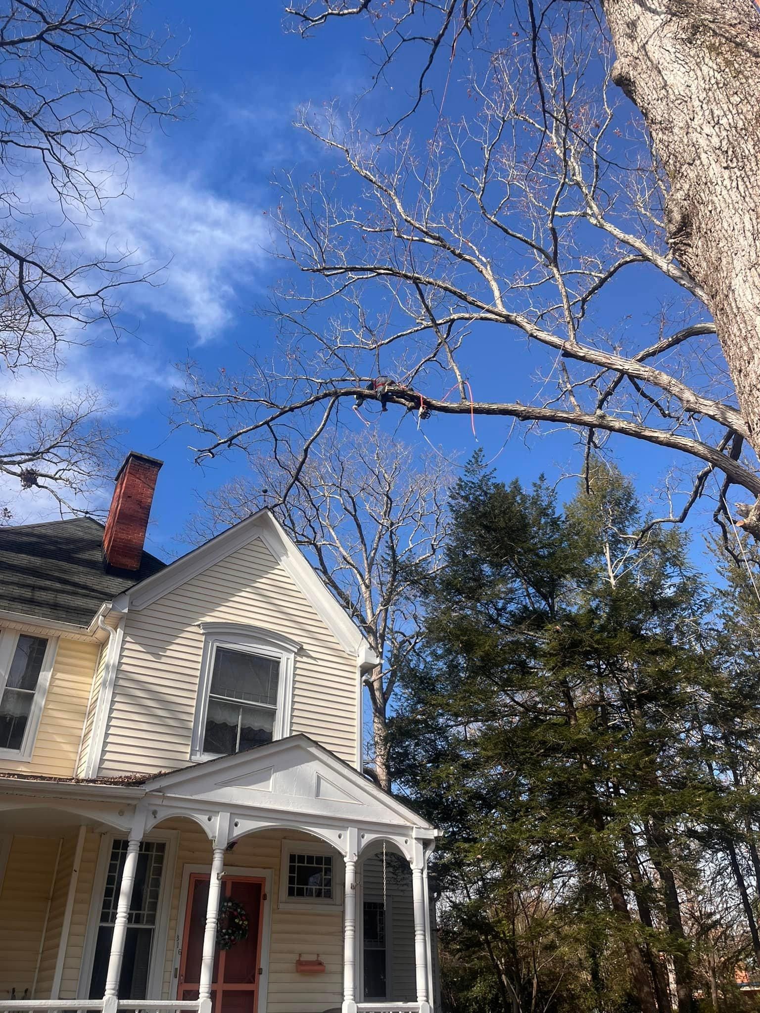  for Ricky's Tree Service & Property Care in Orange, VA