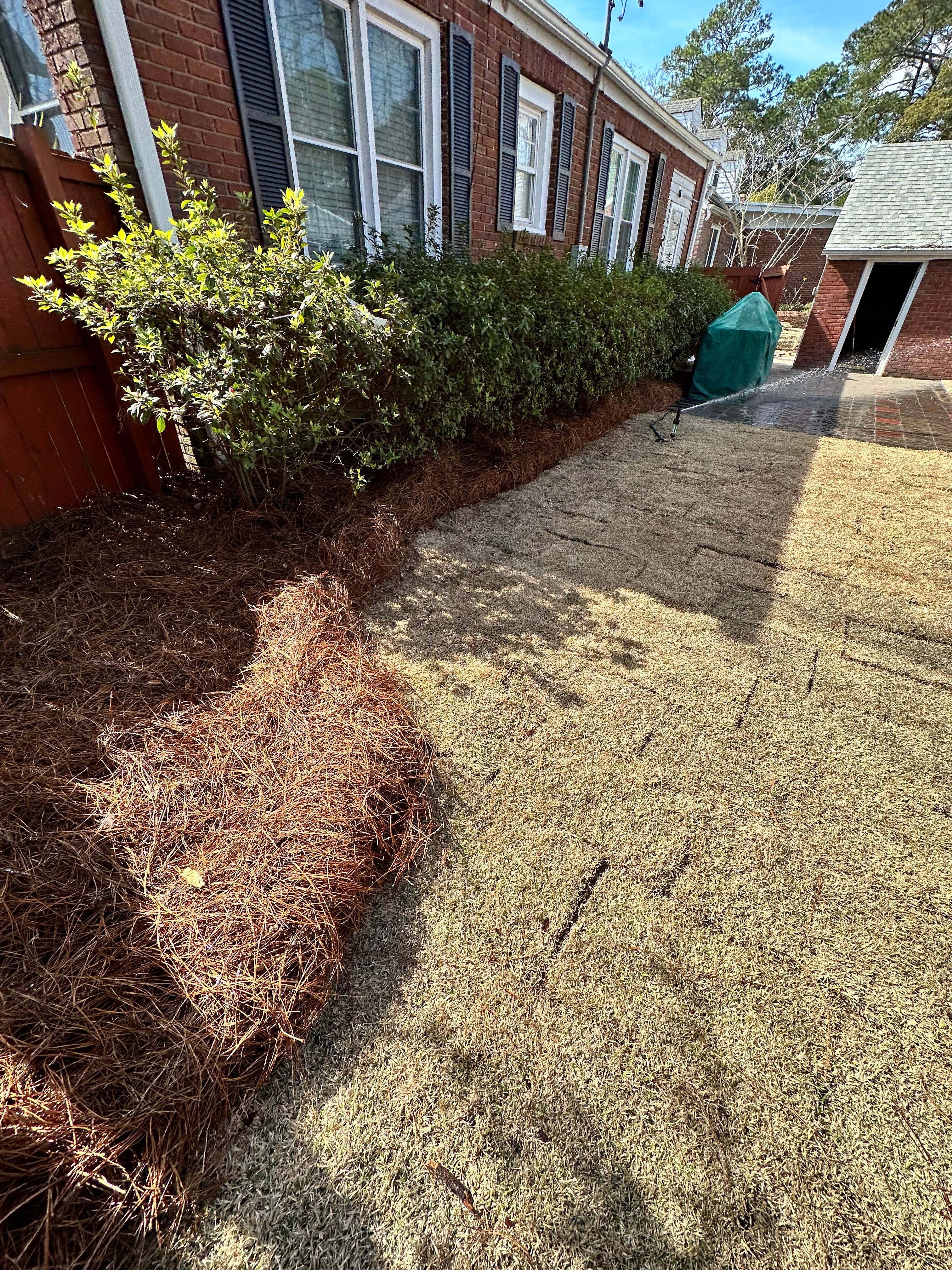  for Coastalscapes Landscaping & Turf Management  in Savannah, GA