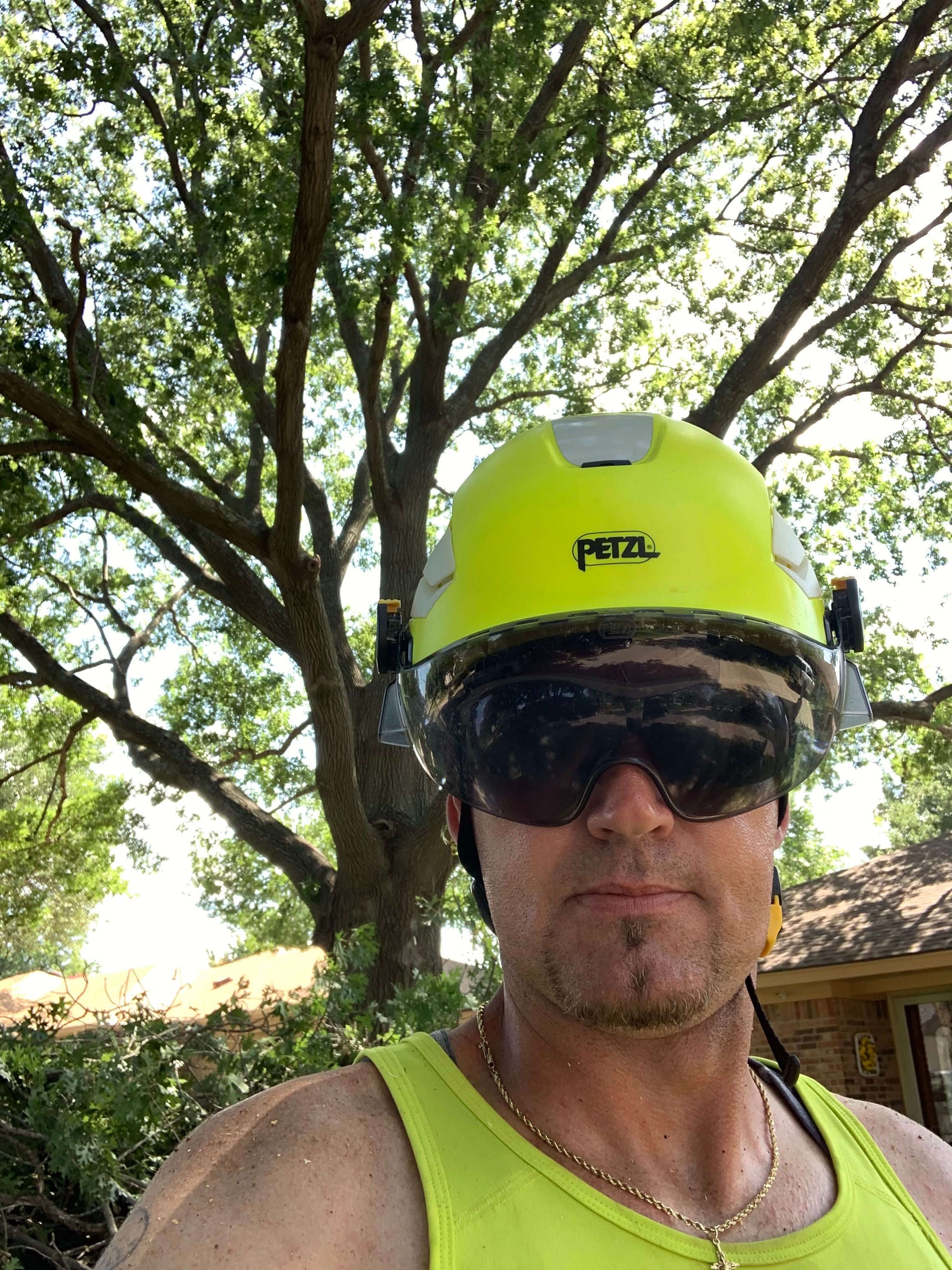 for TLC Professional Tree Service in Bedford, TX