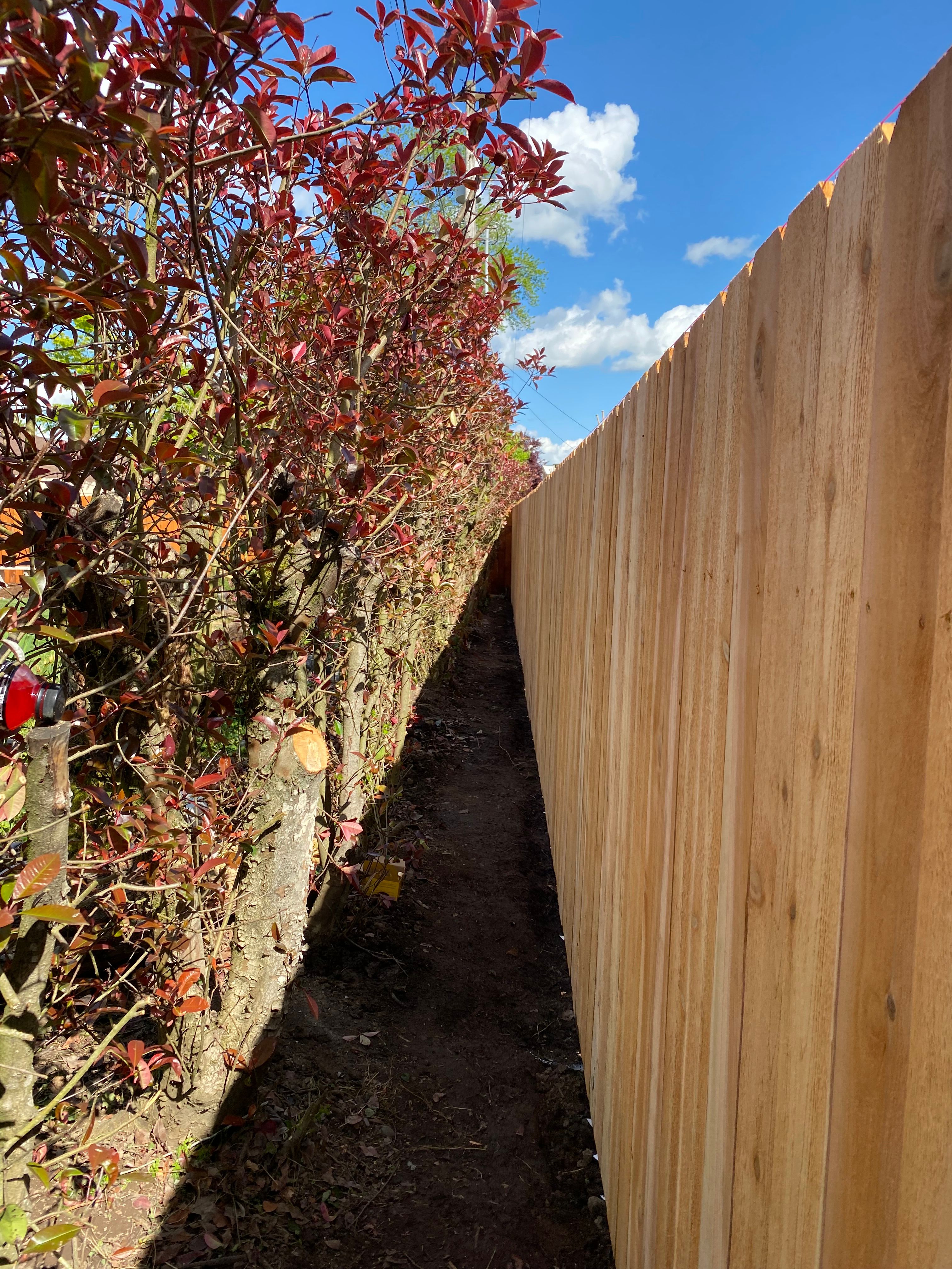 Fence gallery for Willamette Landscaping & Tree Services in Albany, OR