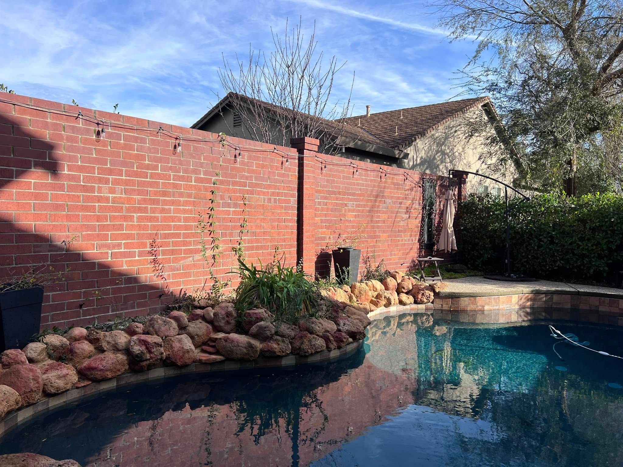 Tree Removal for Sammy's Tree Services in Rancho Cordova, CA