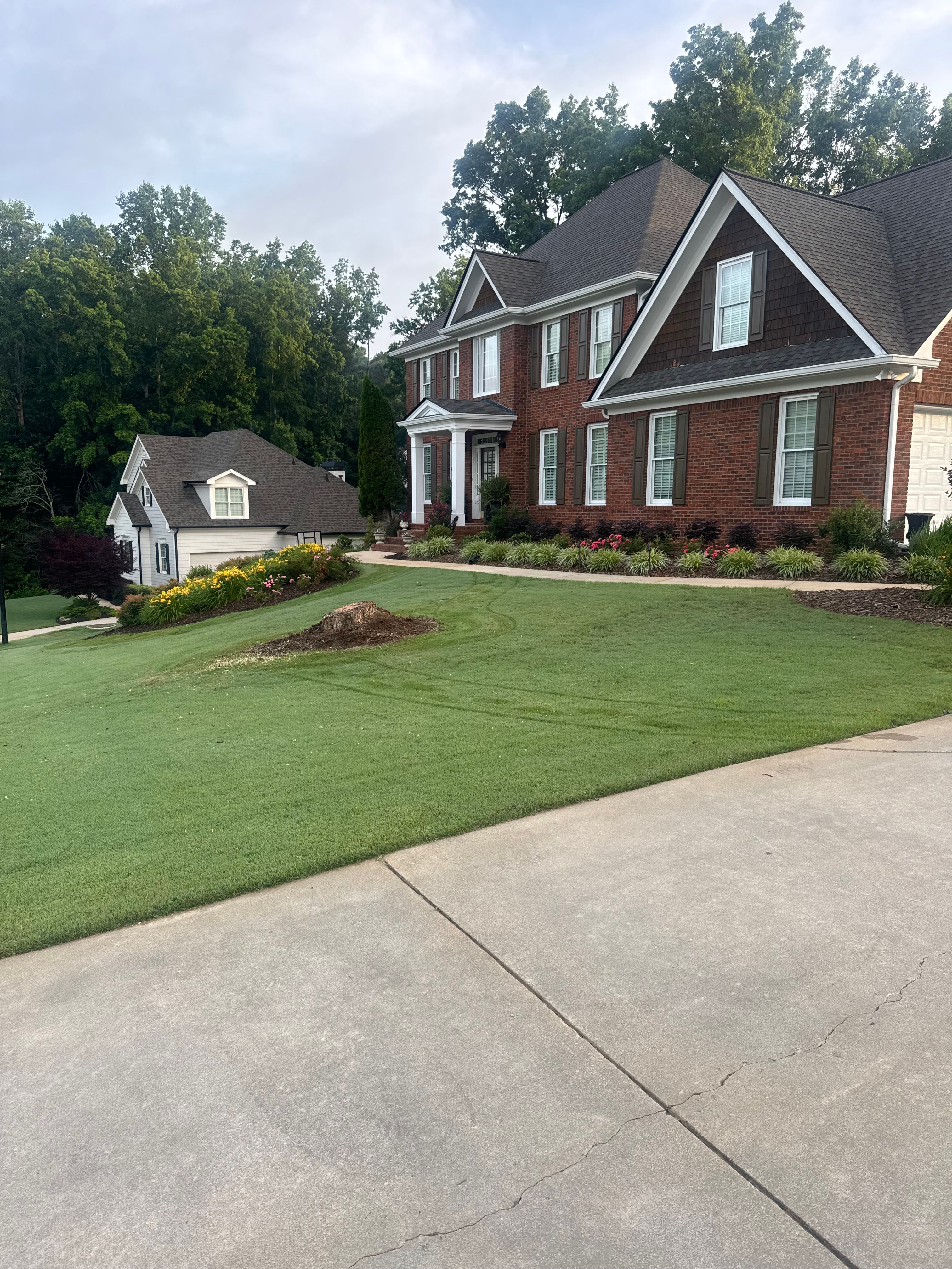  for A1 Phillips Painting in Cumming, GA