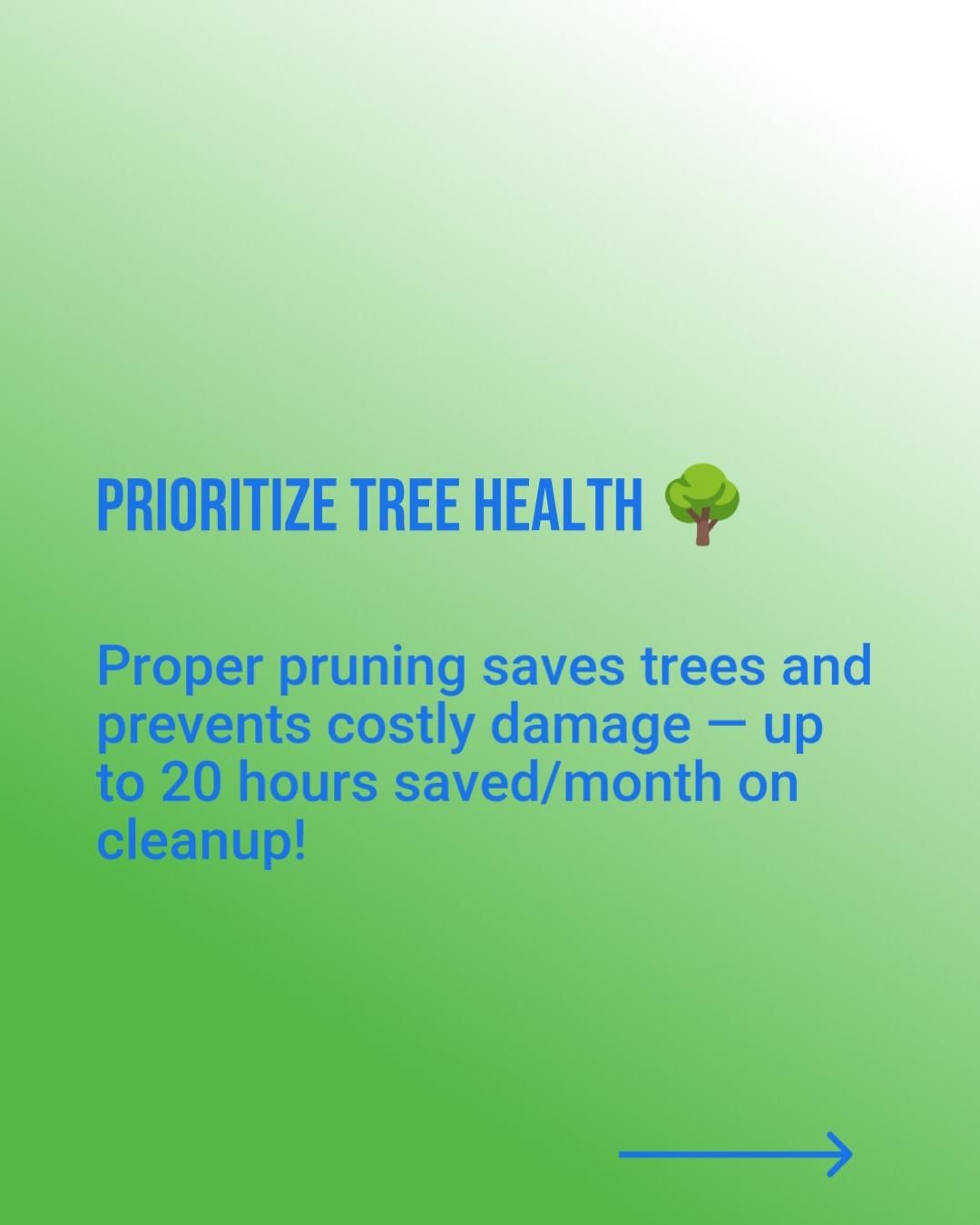 Irrigation System Design & Install for Ludlows Services in Clermont, FL