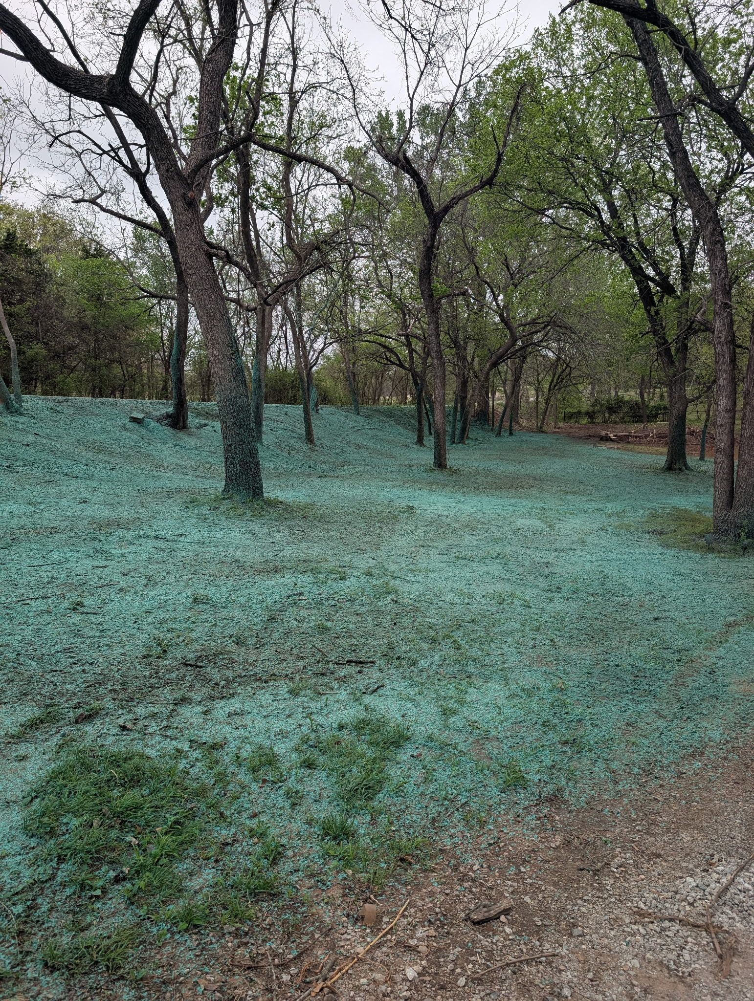 for Foyil Bobcat and Hydroseeding in Edmond, OK
