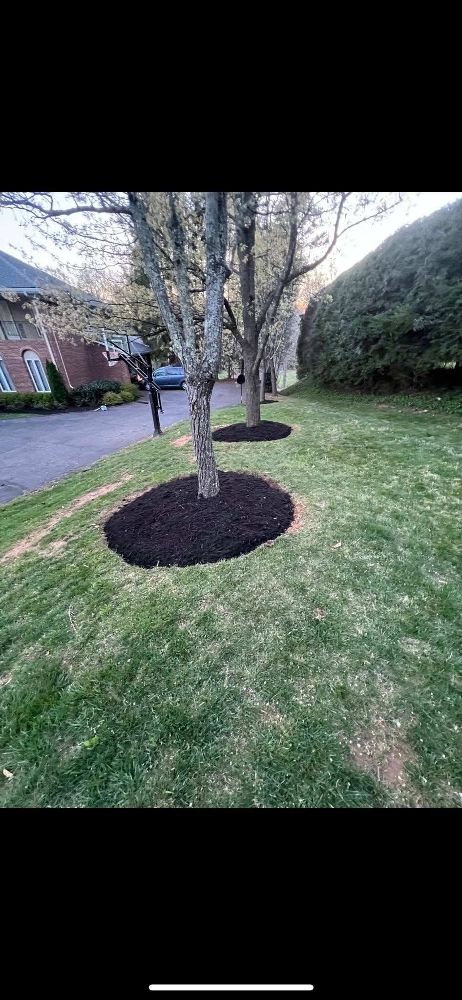 All Photos for SkyLimit LawnCare in Asheville, NC