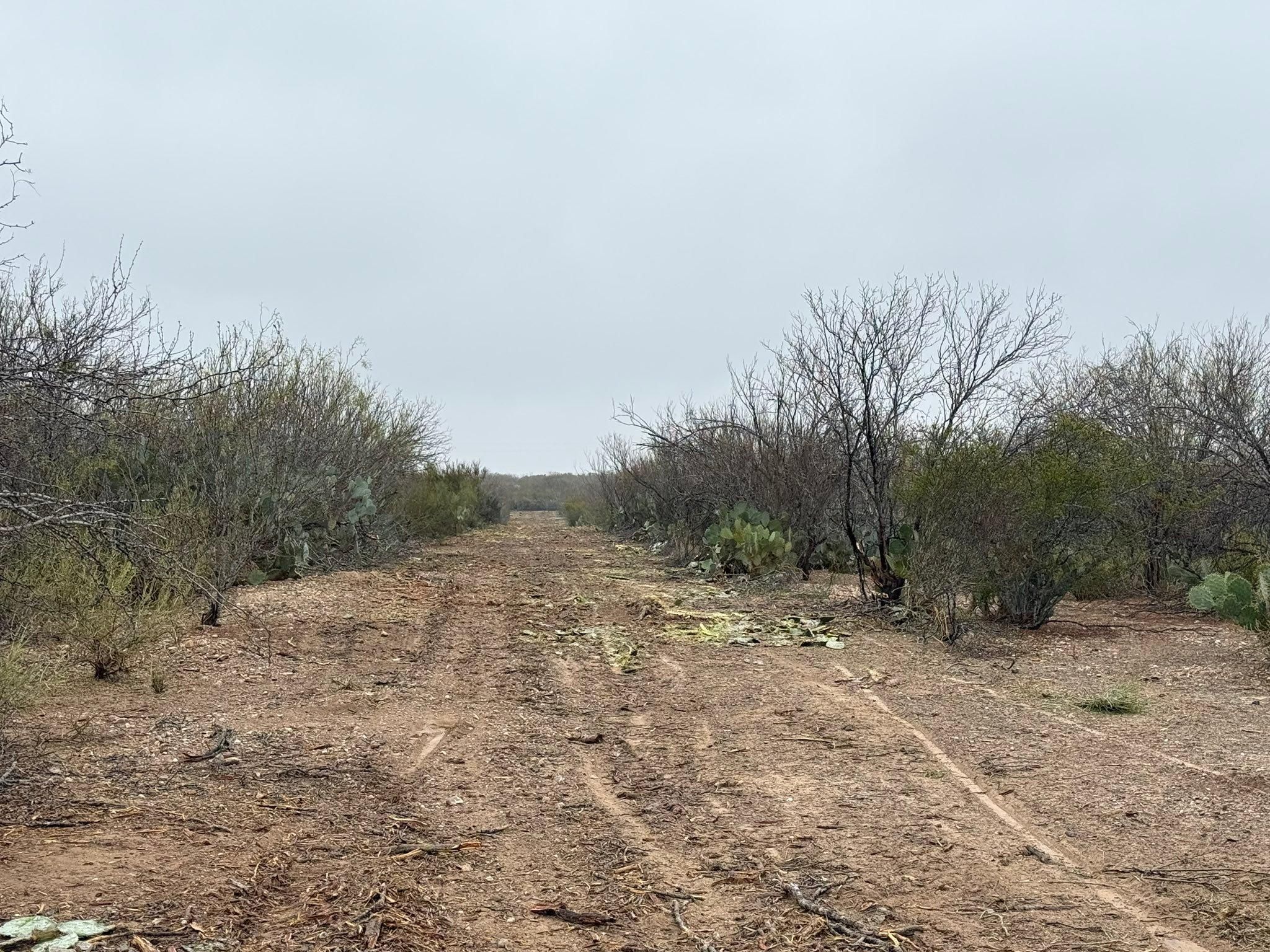  for Strause Land Improvement & Construction in George West, TX