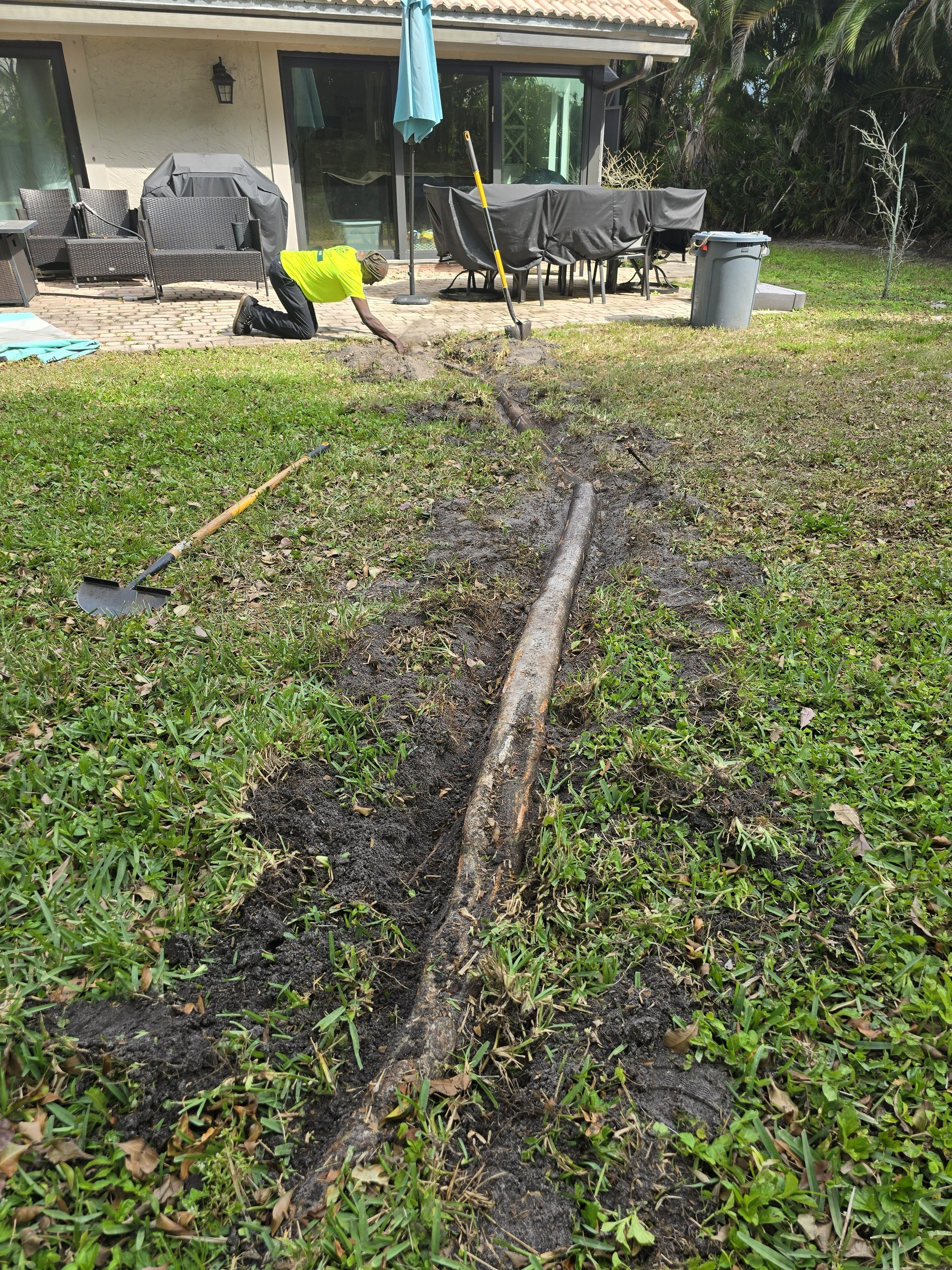 Root Pruning for Bridgewater Arbor Care LLC in Jupiter, FL