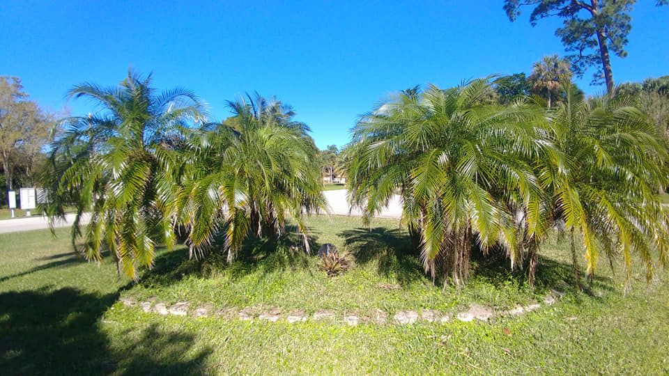  for Epic Vine Design in Melbourne, FL