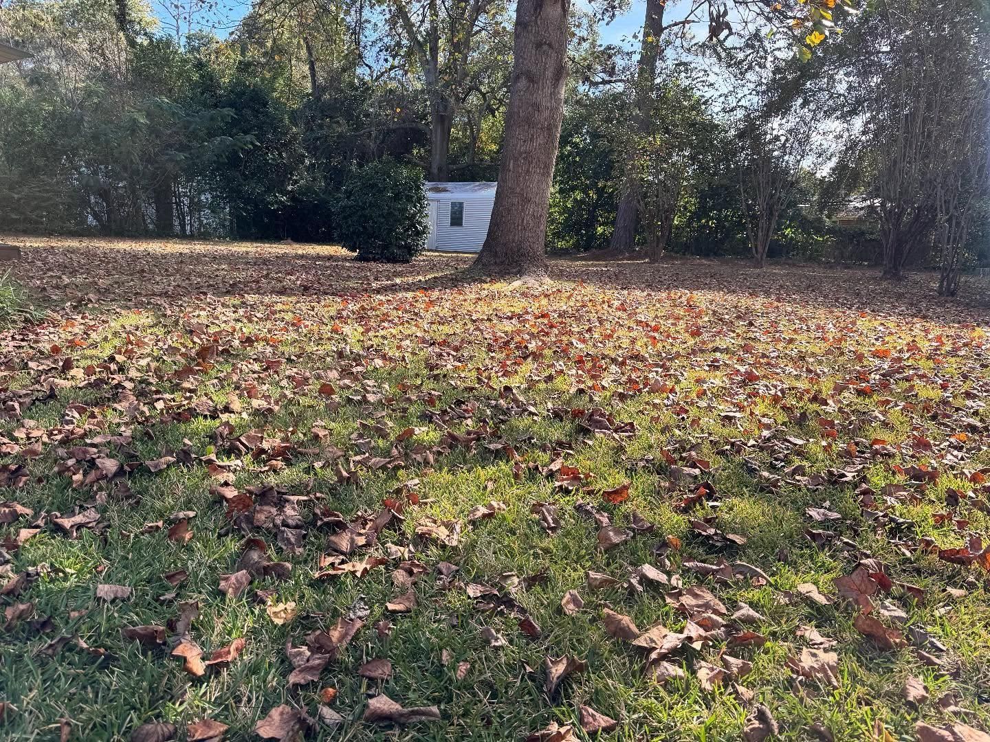 All Photos for Camalett Services in Perry, GA