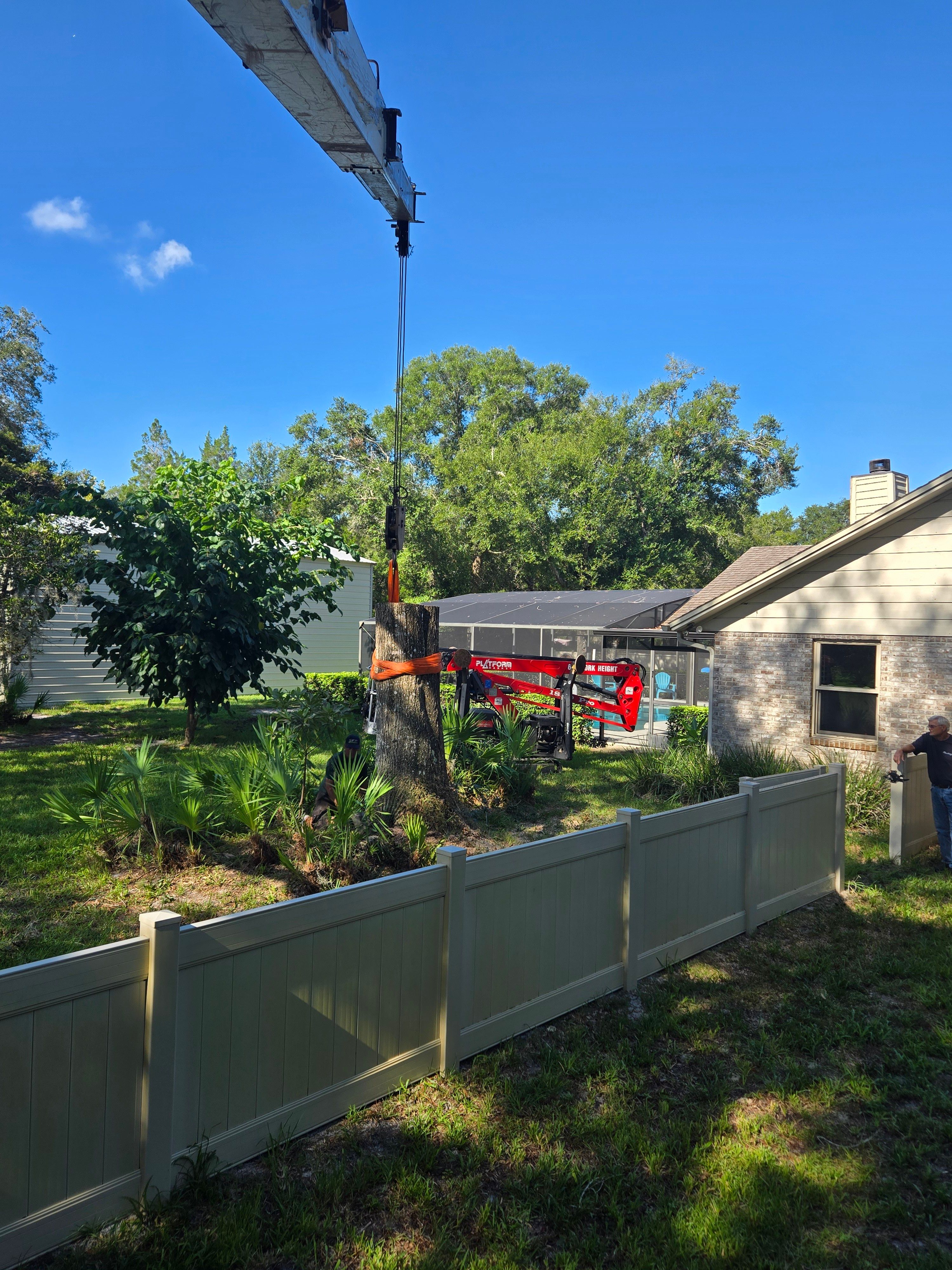 All Photos for Near Me Tree Service, Inc. in DeLand, FL