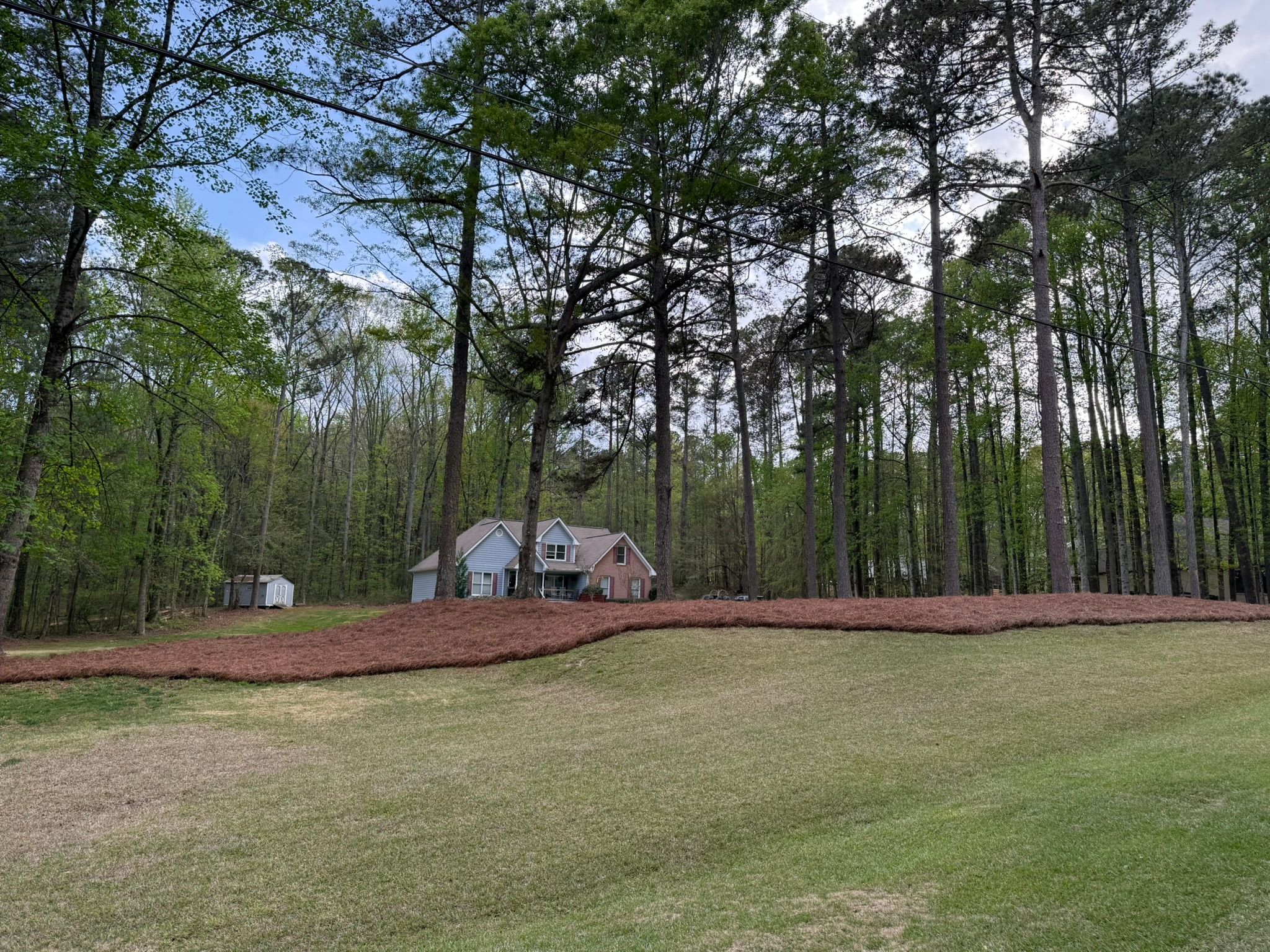All Photos for Tri-P Services in Athens, GA