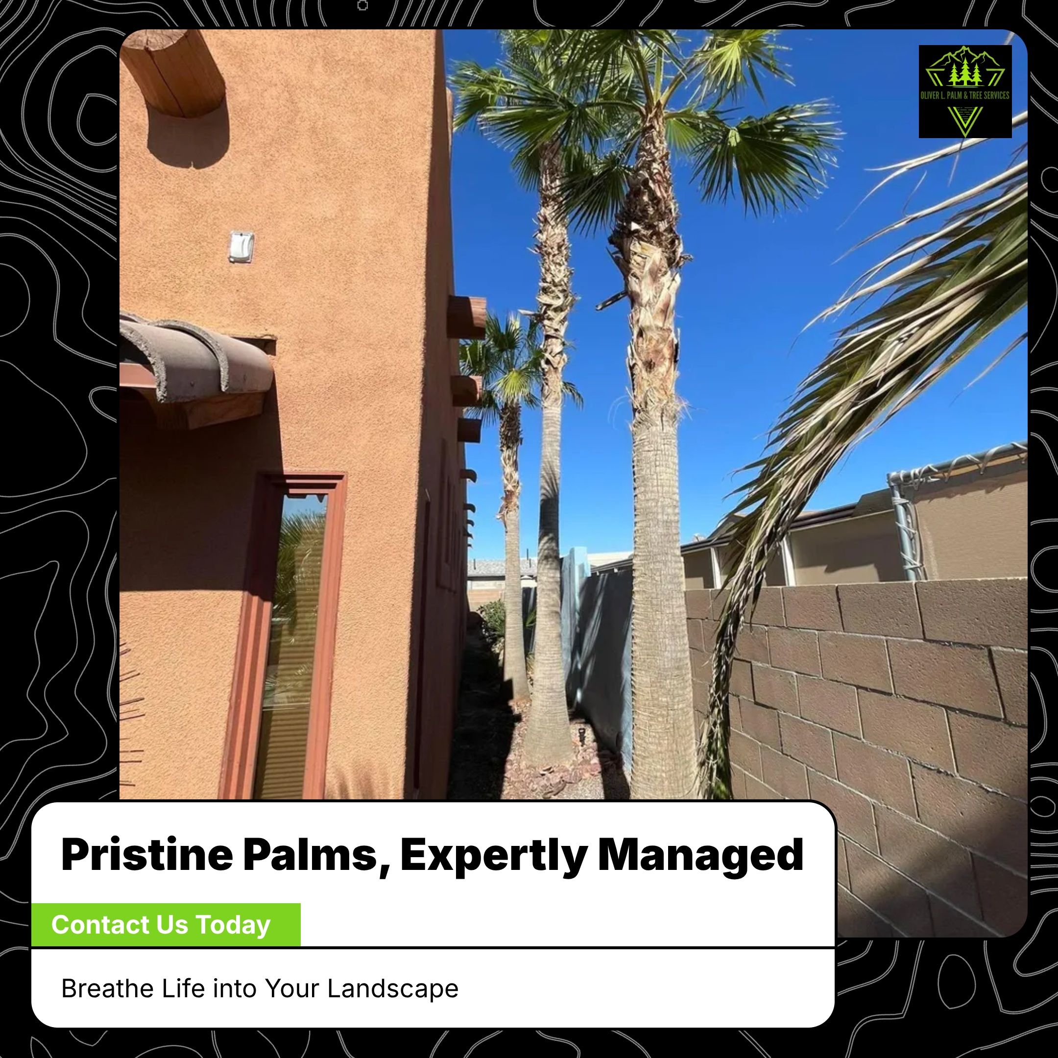  for Oliver L. Palm & Tree services in Yuma County, AZ