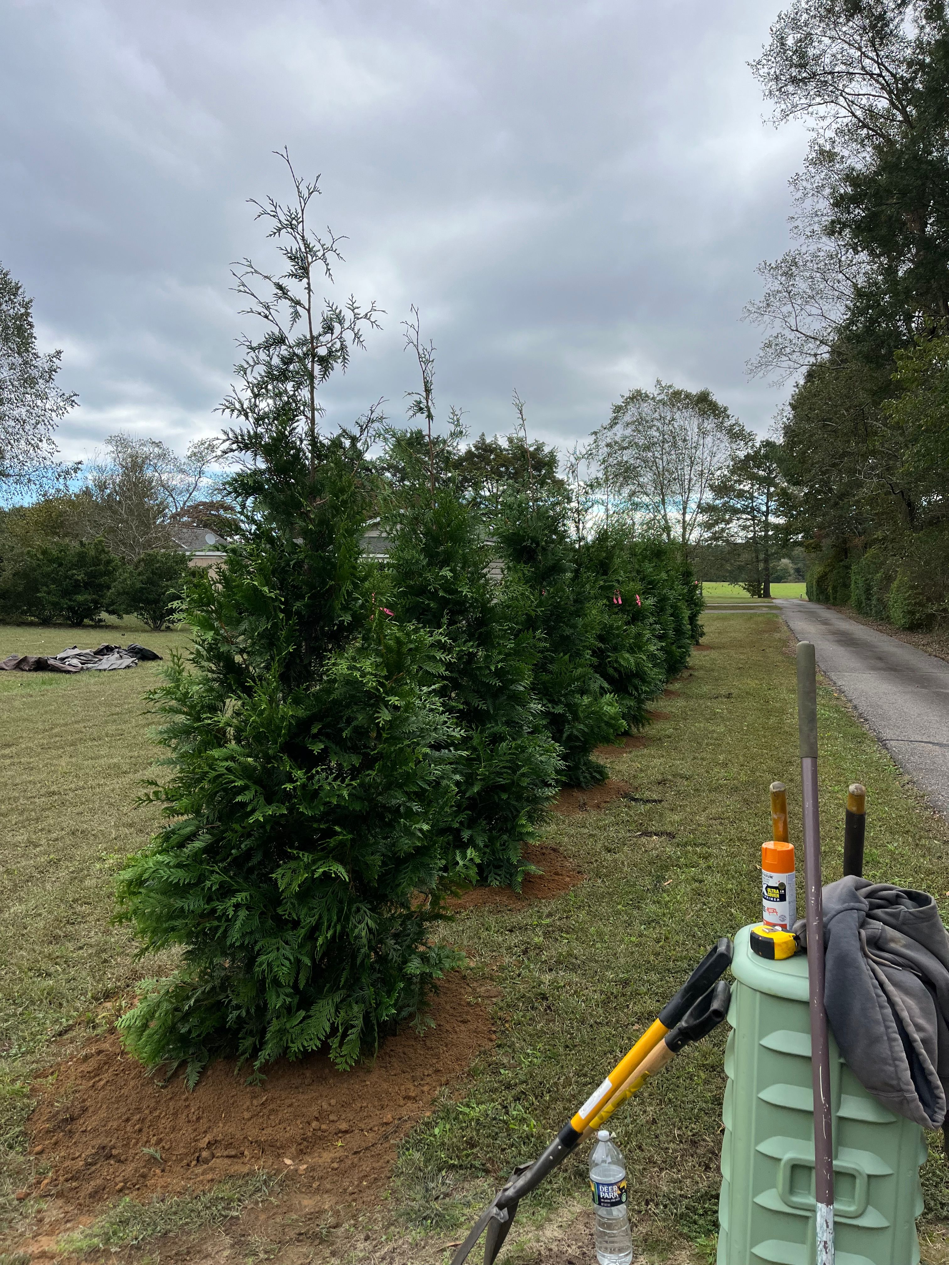  for Atlas Home Services in Mechanicsville, VA