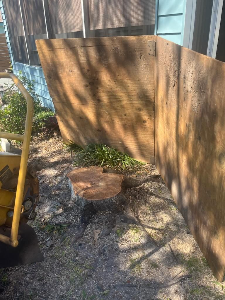  for KB’s Stump Removal in Pinellas county, FL