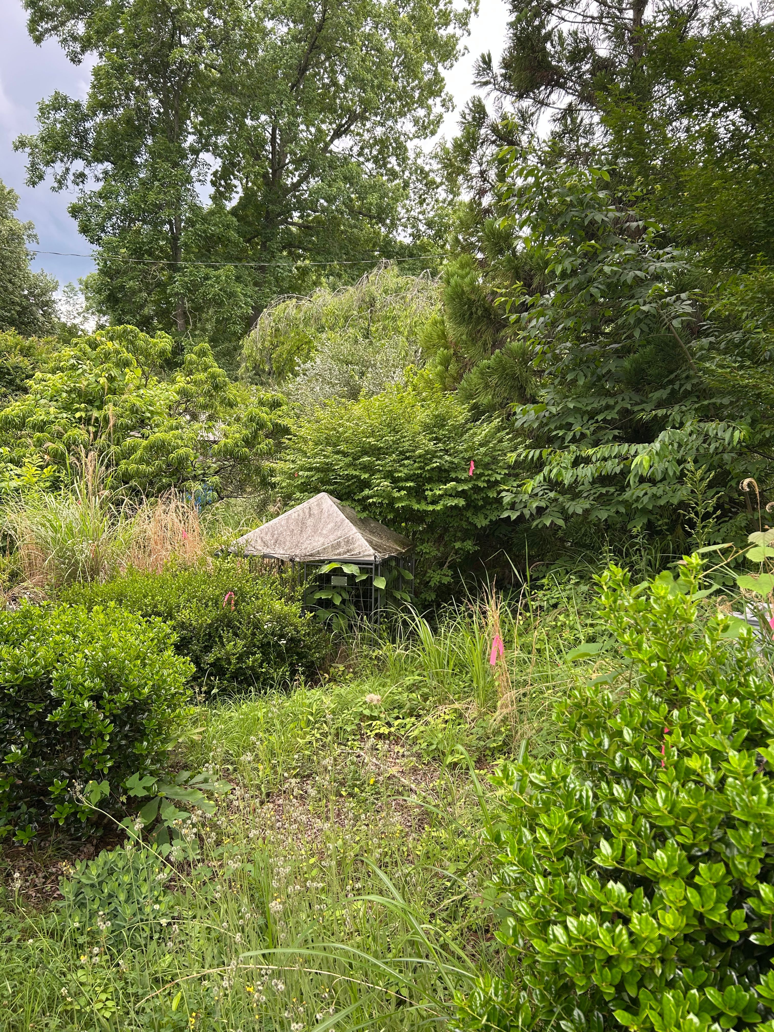 All Photos for Gatrell Landscape & Tree Removal in Bluff City, TN