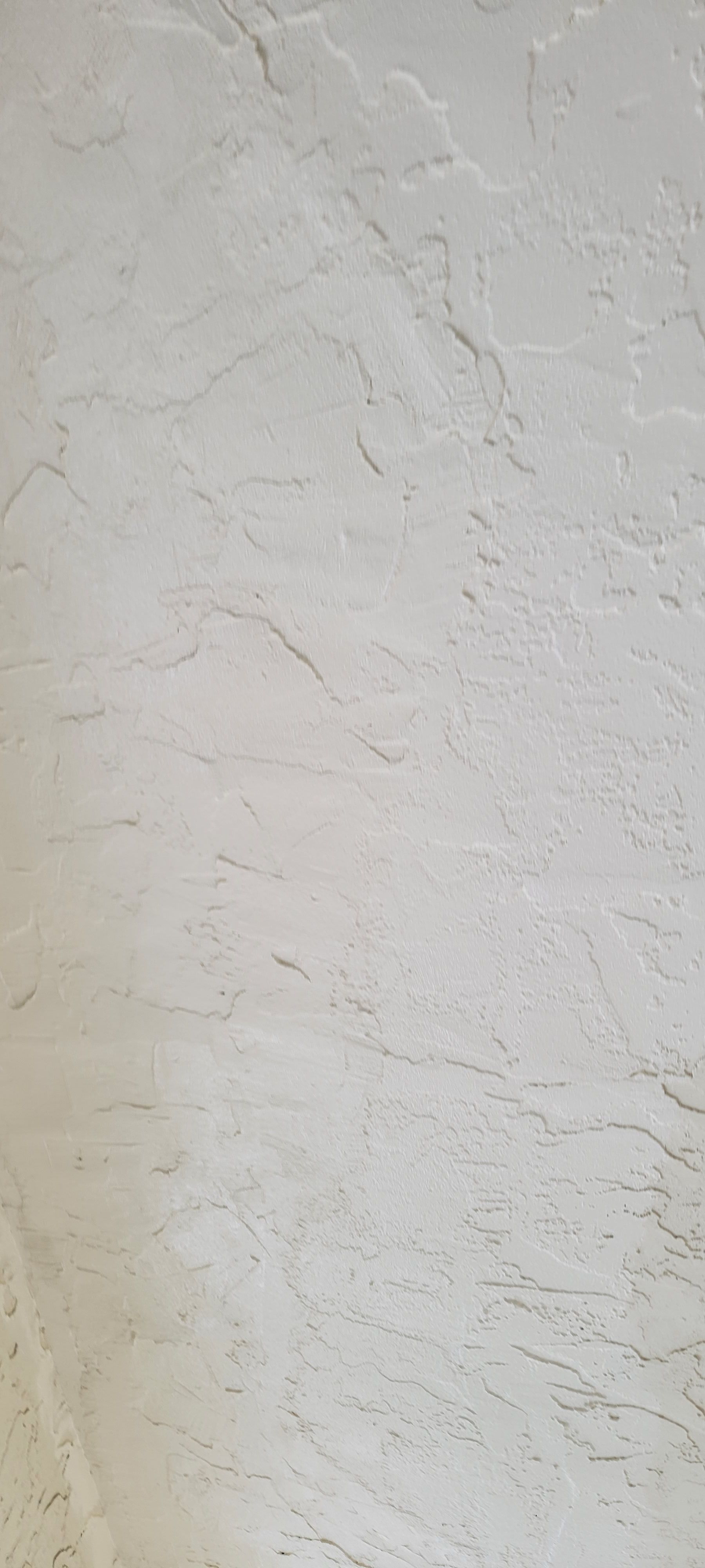  for Millenium Construction & Property Management in Tampa, FL